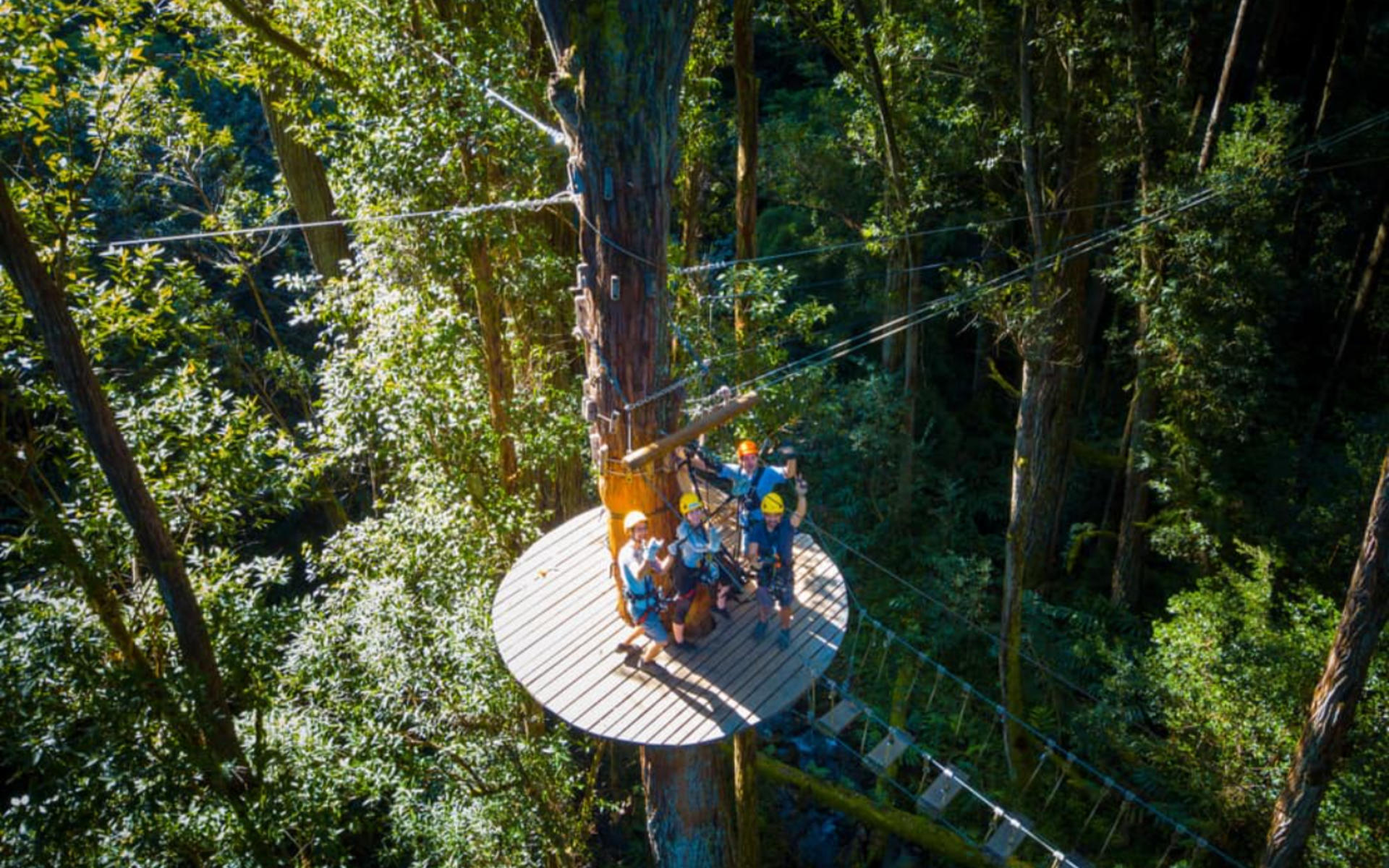 Kohala Canopy Adventure - Thumbnail 4