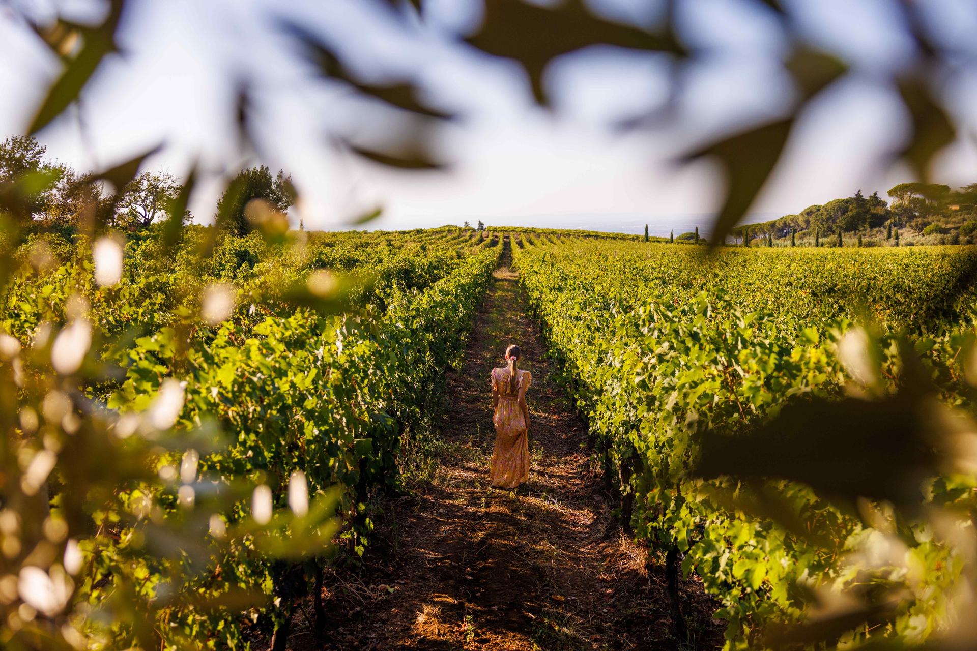 Frascati Escape: Private Countryside Wine Tasting Tour - Thumbnail 2