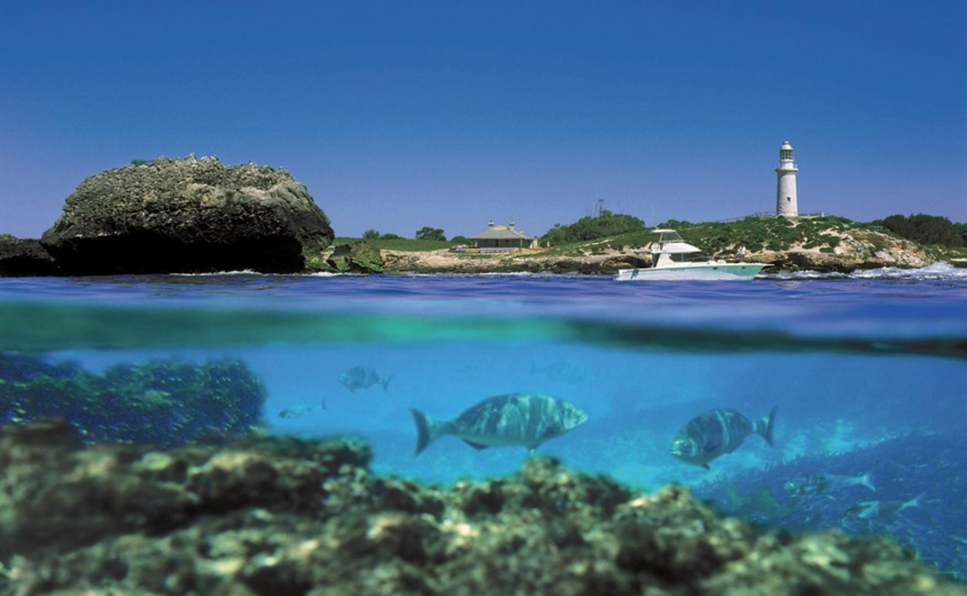 Rottnest Island Experience with Ferry Transfer and Island Tour - Thumbnail 4