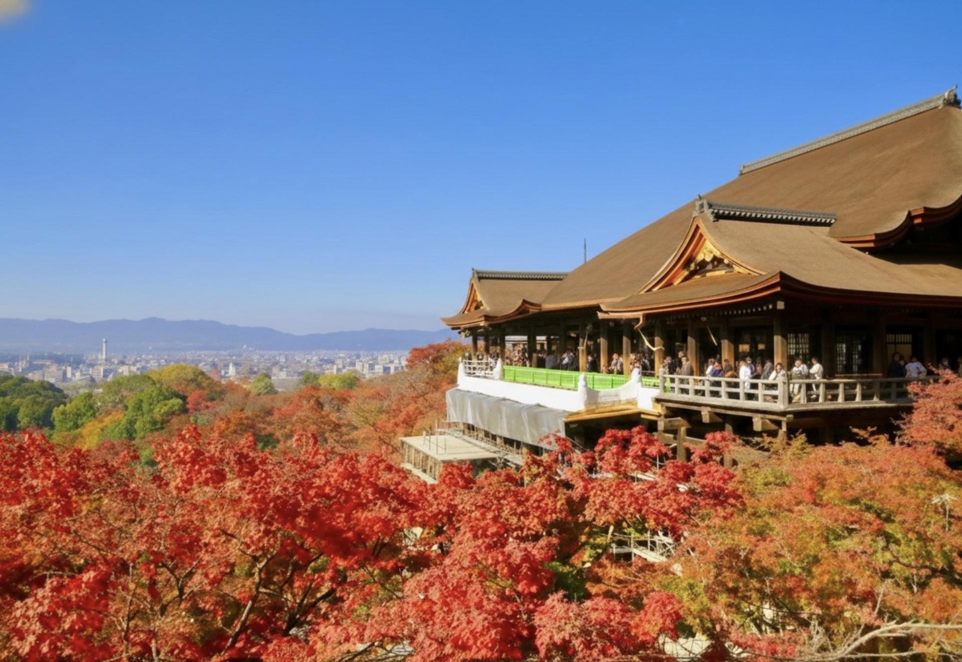 Kyoto Bus Tour: Fushimi, Kiyomizu, Kinkaku-ji & Arashiyama - Thumbnail 12