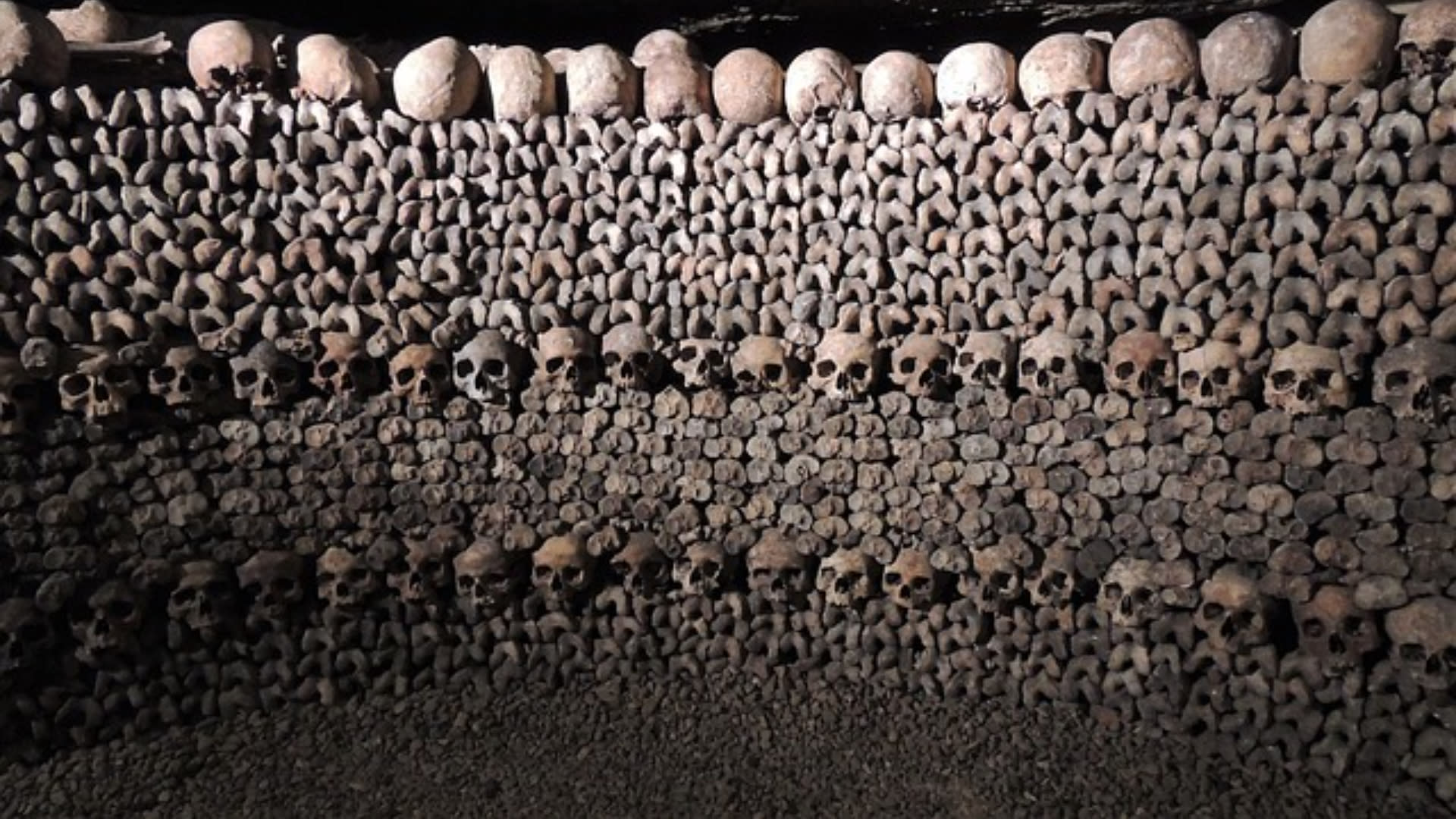 Paris Catacombs Ticket and Seine River Cruise in Paris - Thumbnail 5