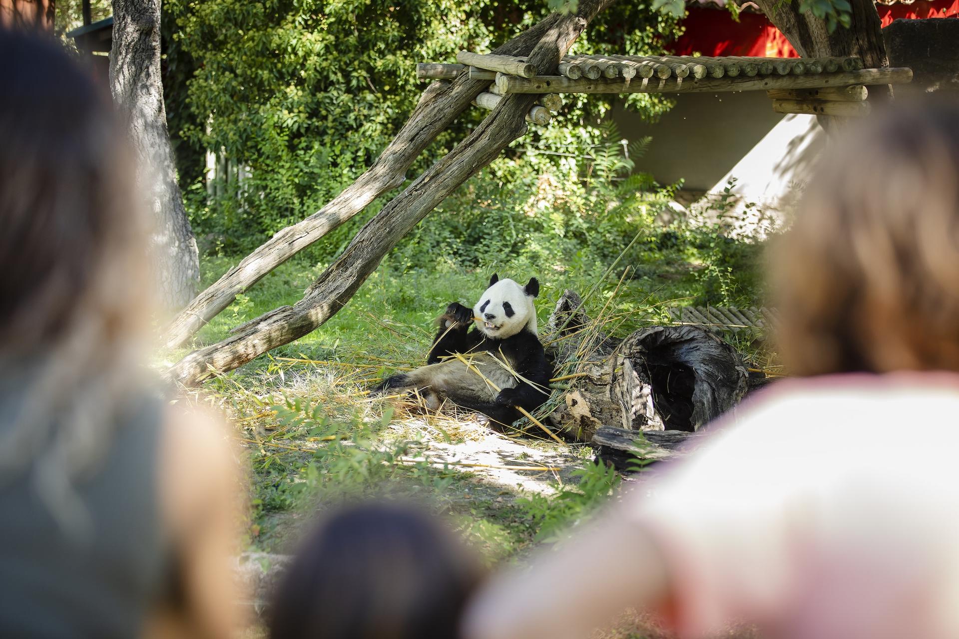 Zoo Aquarium Admission in Madrid - Thumbnail 4