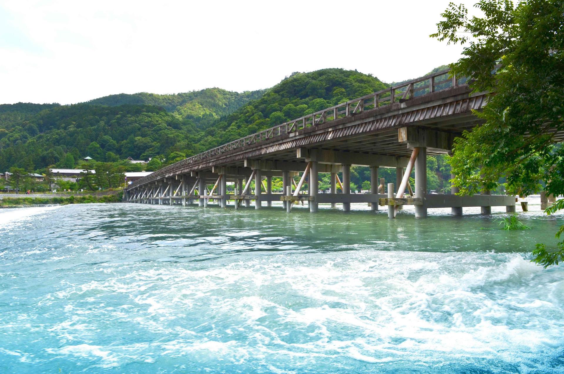 Kyoto Arashiyama Fushimi Inari and Nara Deer Day Tour - Thumbnail 25