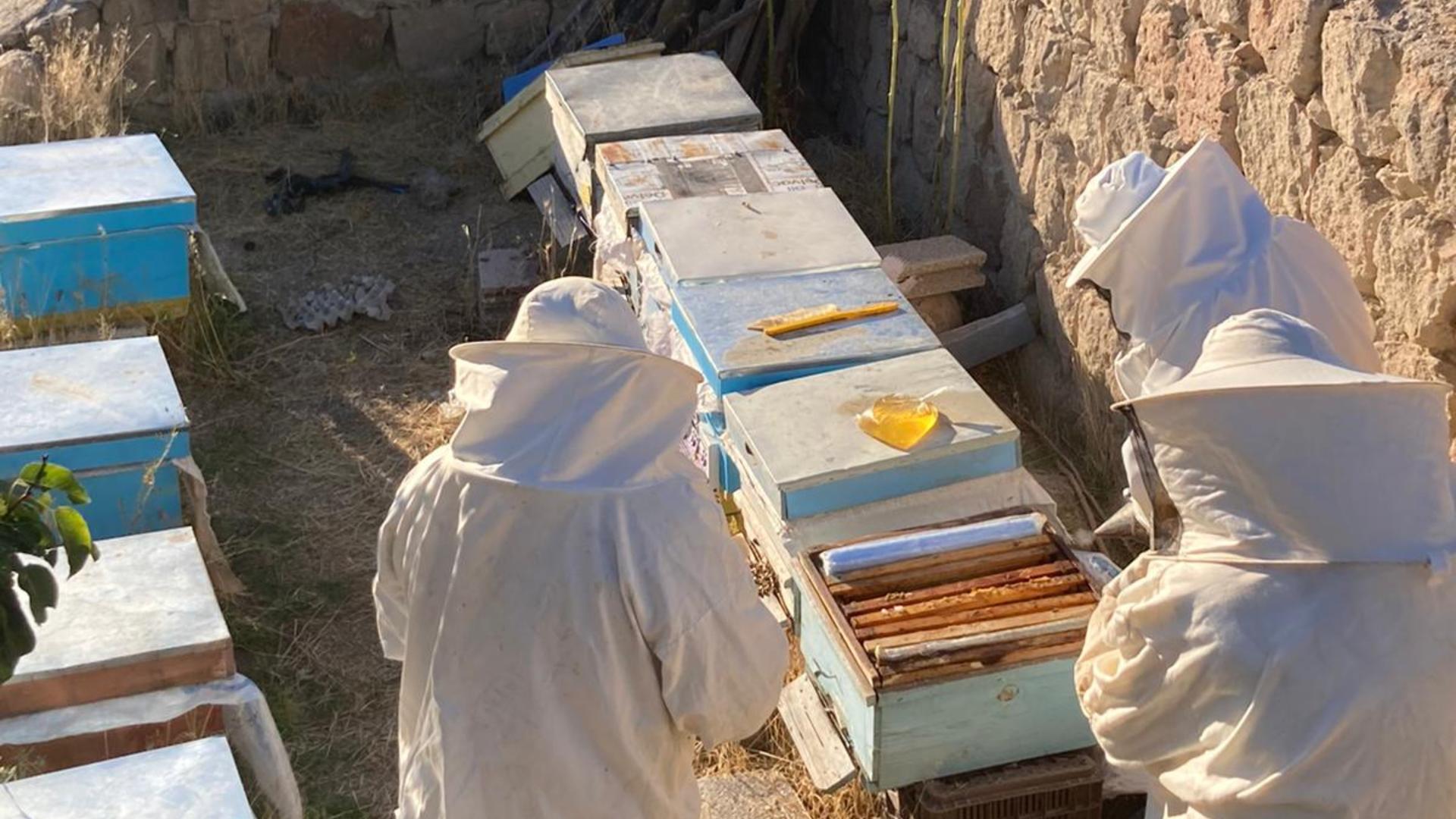 Beekeeping Experience with Honey Tasting in Cappadocia - Thumbnail 4