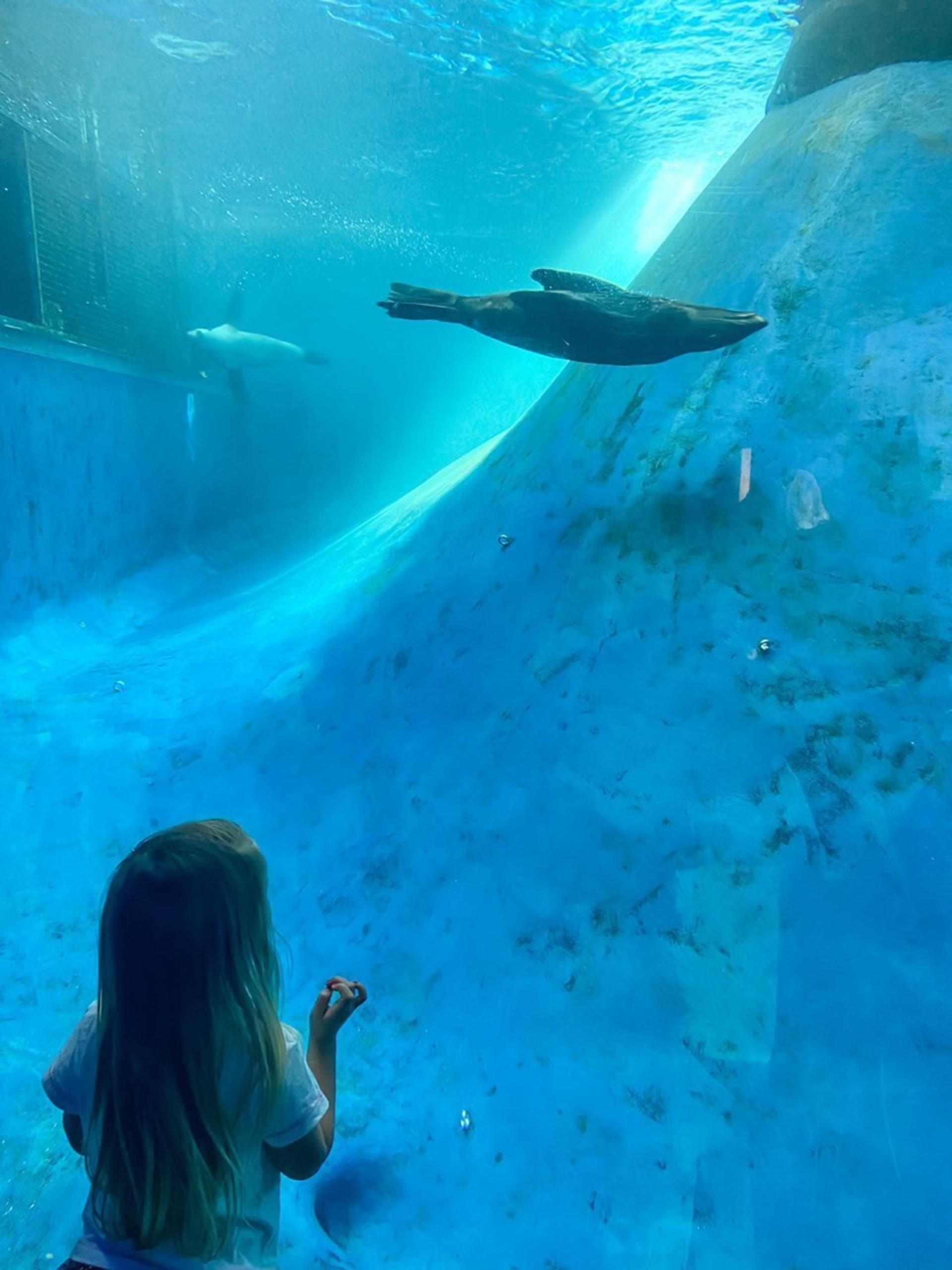 Melbourne Zoo Ticket  - Thumbnail 23