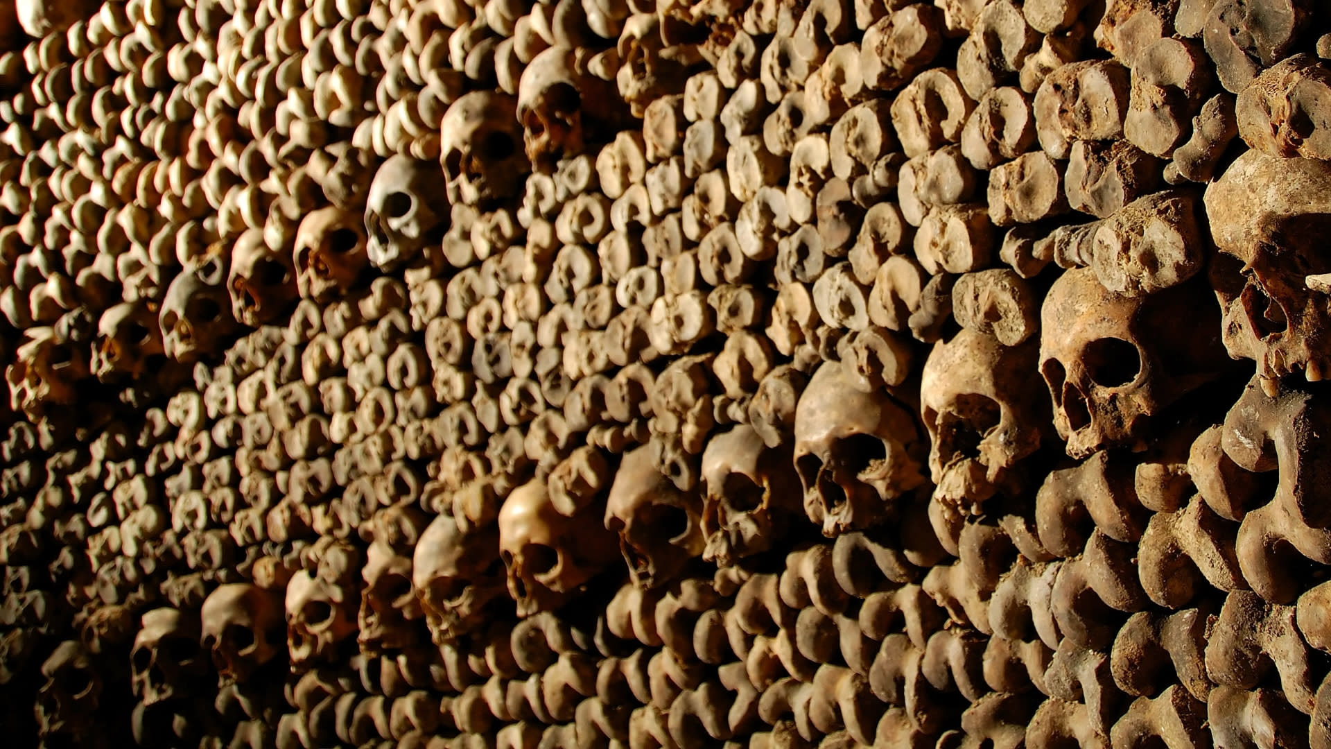 Paris Catacombs Ticket and Seine River Cruise in Paris - Image 1