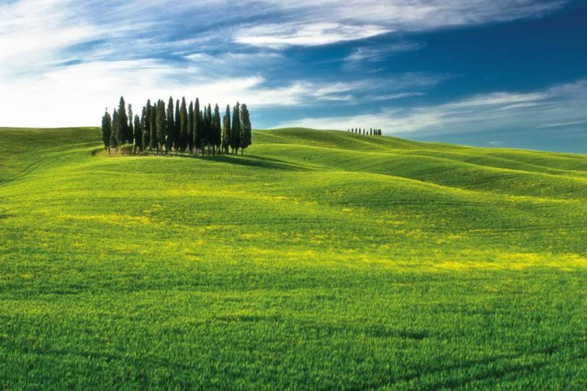 Val D'Orcia, Montepulciano, and Pienza Wine Tour from Florence - Thumbnail 2