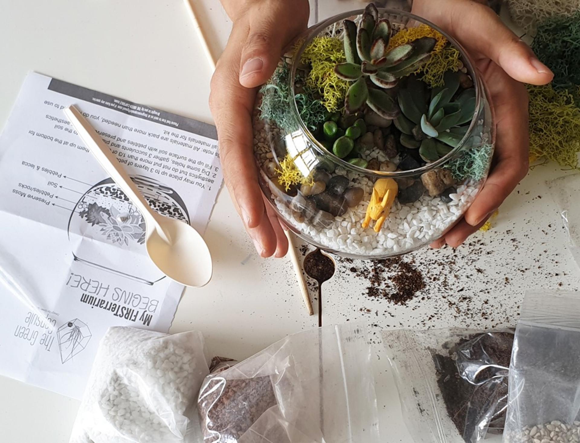 Terrarium and Airplant Greenwall Workshop in Funan & PLQ - Thumbnail 4