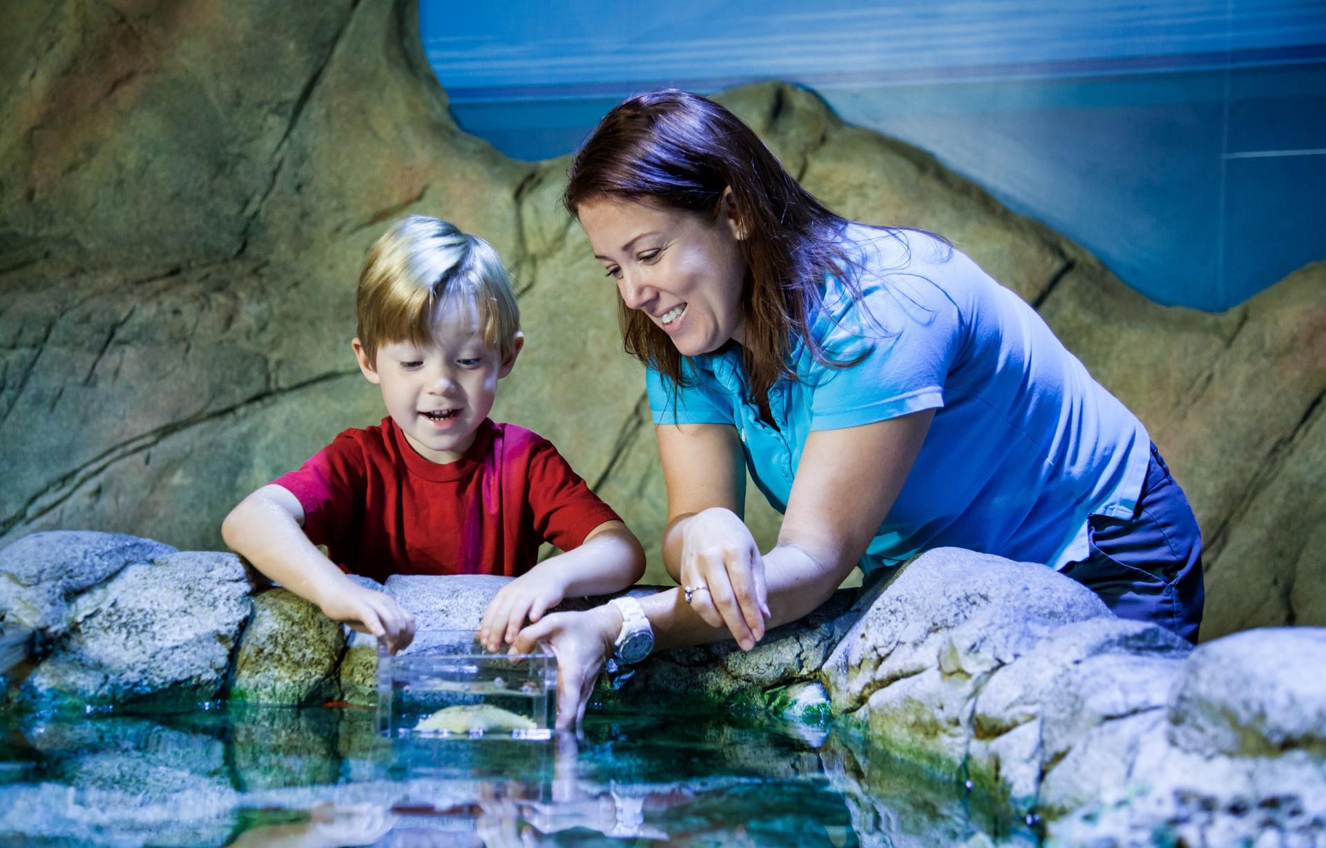 SEA LIFE Sydney Aquarium Ticket - Thumbnail 3