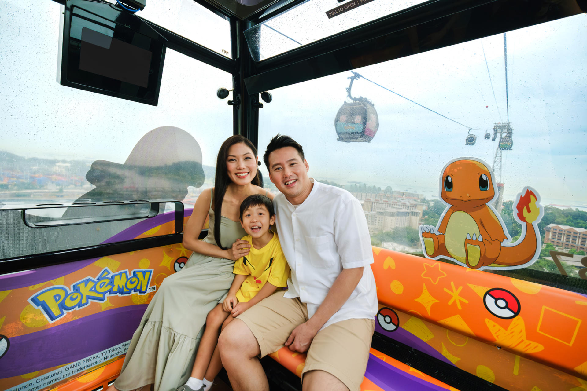 Singapore Cable Car SkyPass - Thumbnail 13