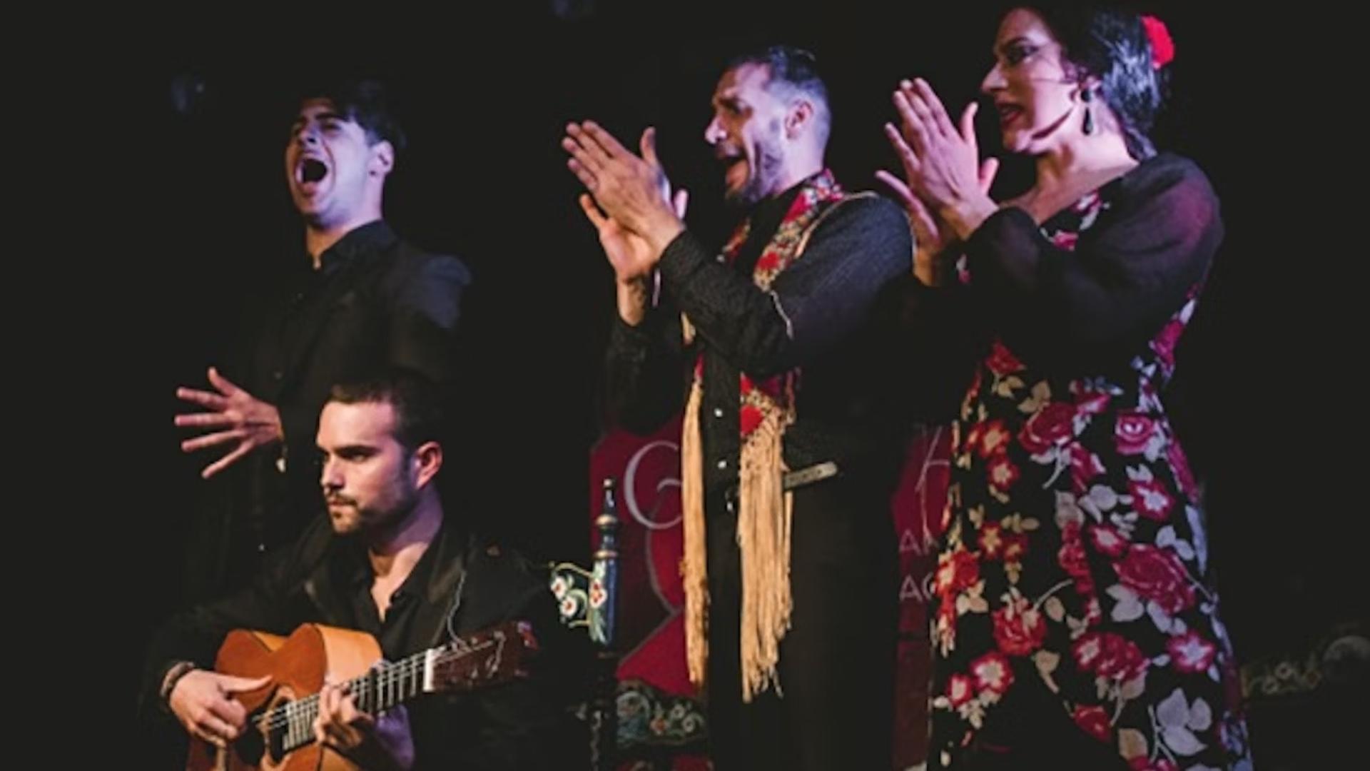 Traditional flamenco show at Casa Ana ticket in Granada - Thumbnail 2