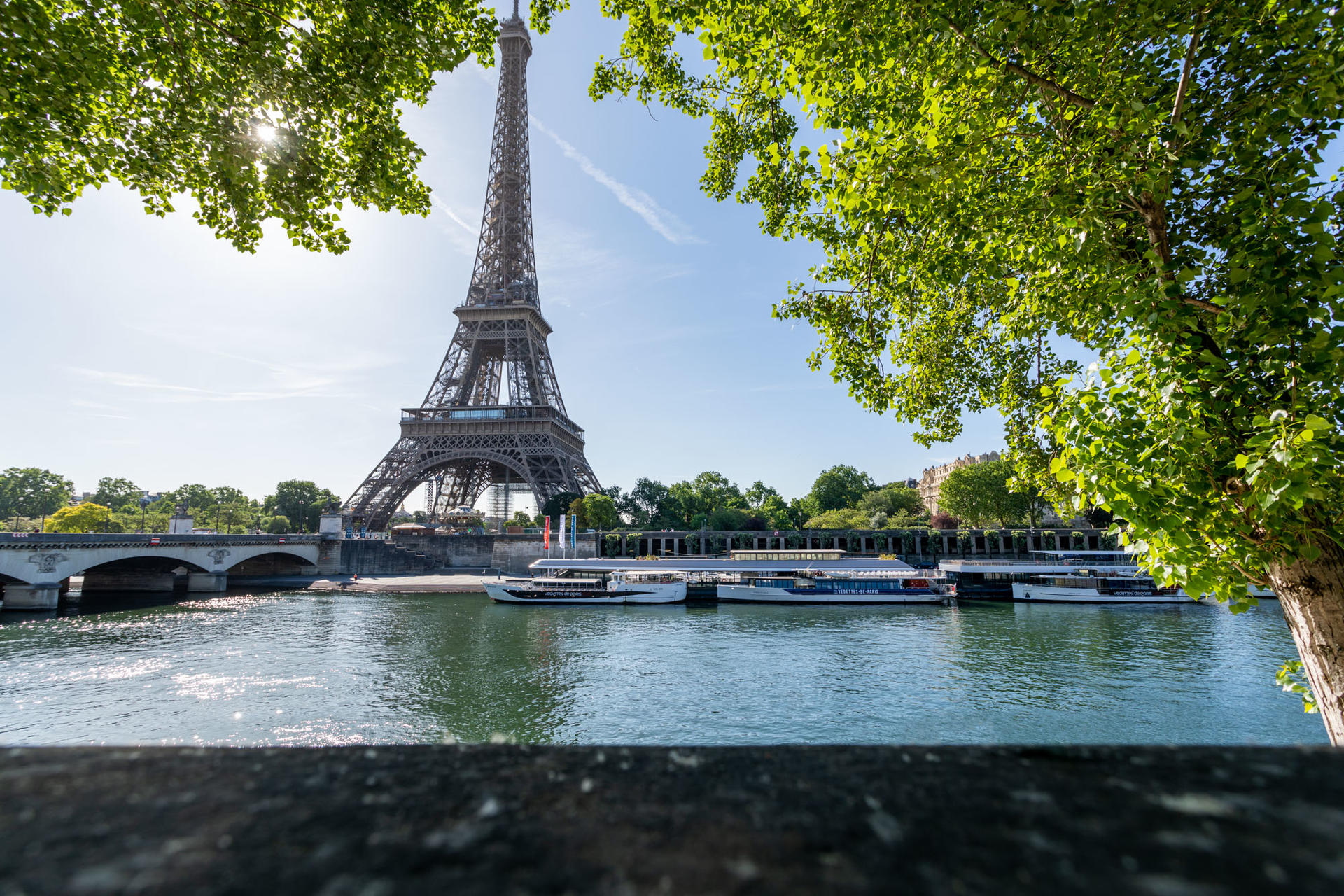 Seine River Sightseeing Cruise in Paris by Vedette de Paris - Thumbnail 5