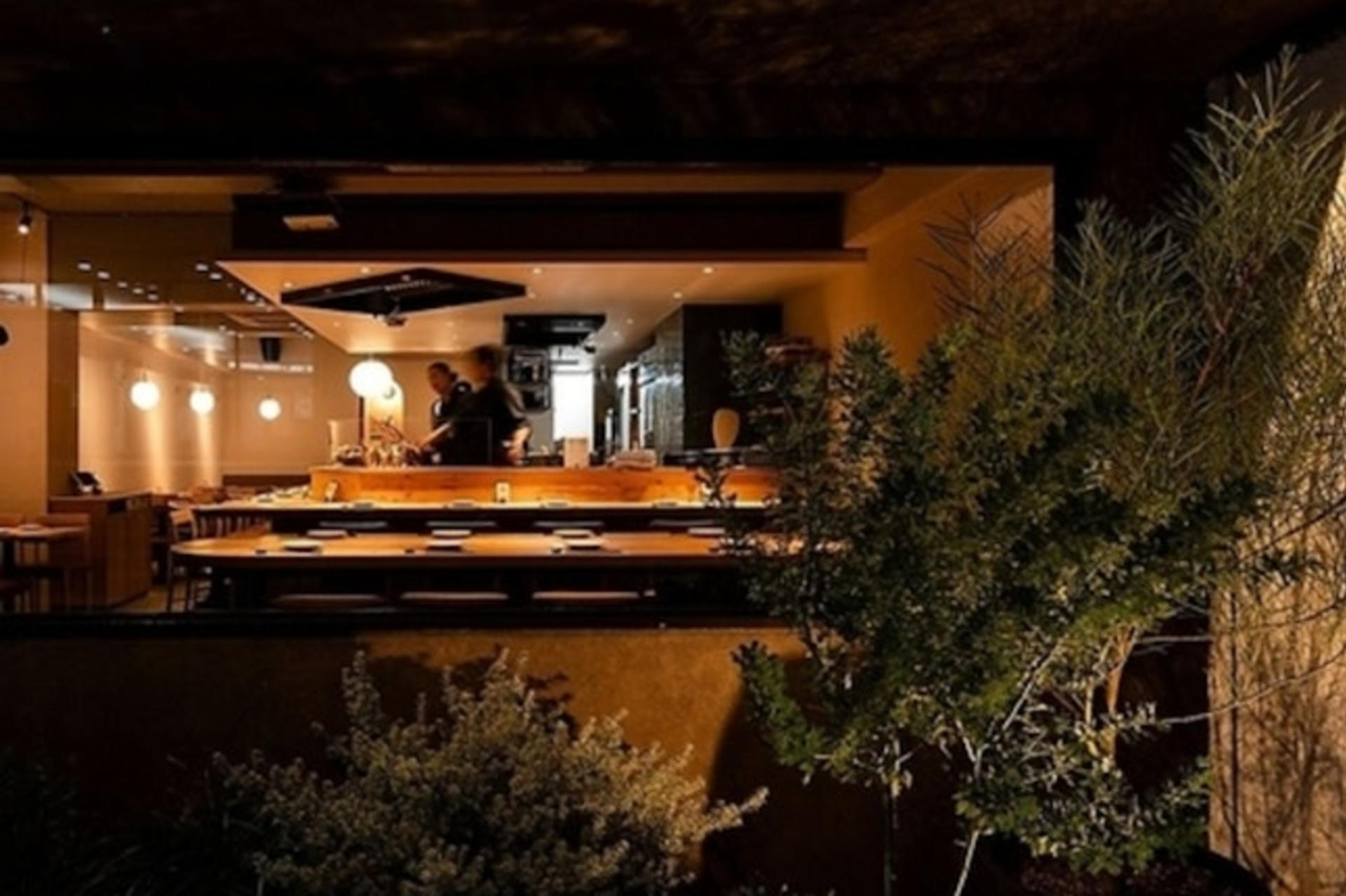 【Charcoal grill Lily】Shibuya Sushi and Charcoal Grill - Thumbnail 2