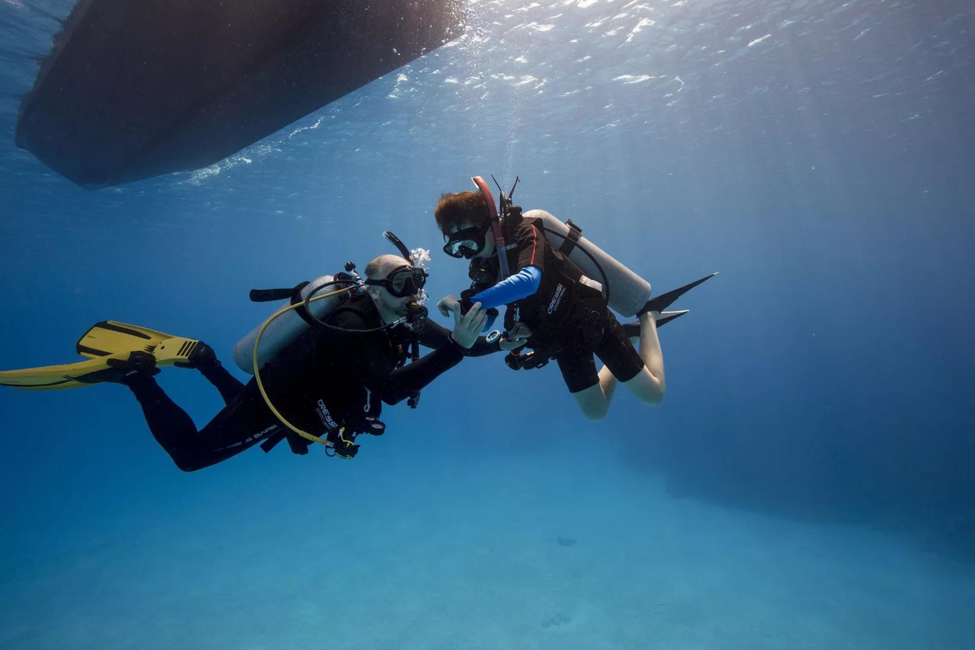 Elba Island Dive Discovery: Experience Scuba Diving with PADI Center - Image 1