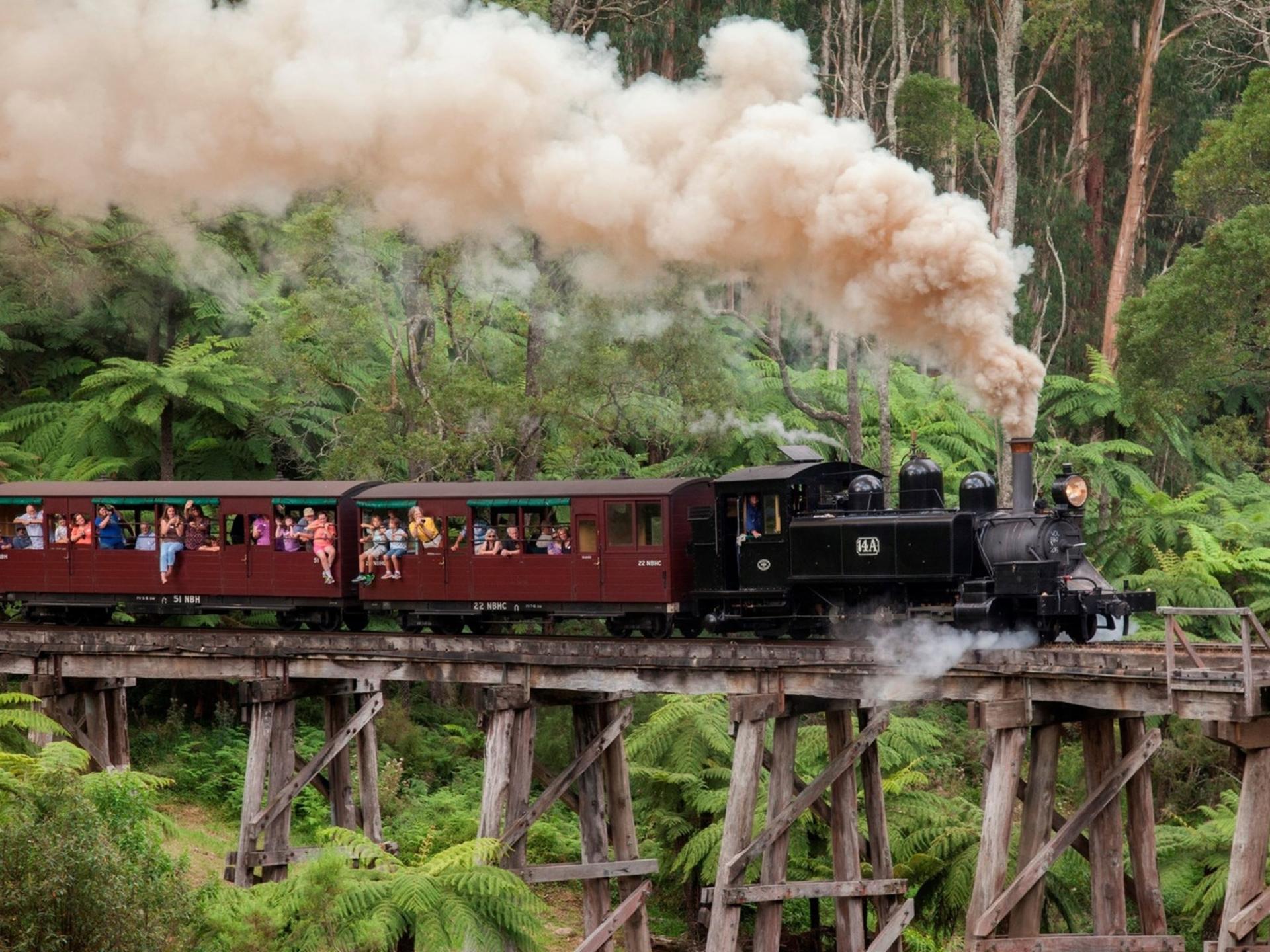 Puffing Billy Steam Train and Wildlife Zoo Day Tour - Image 1