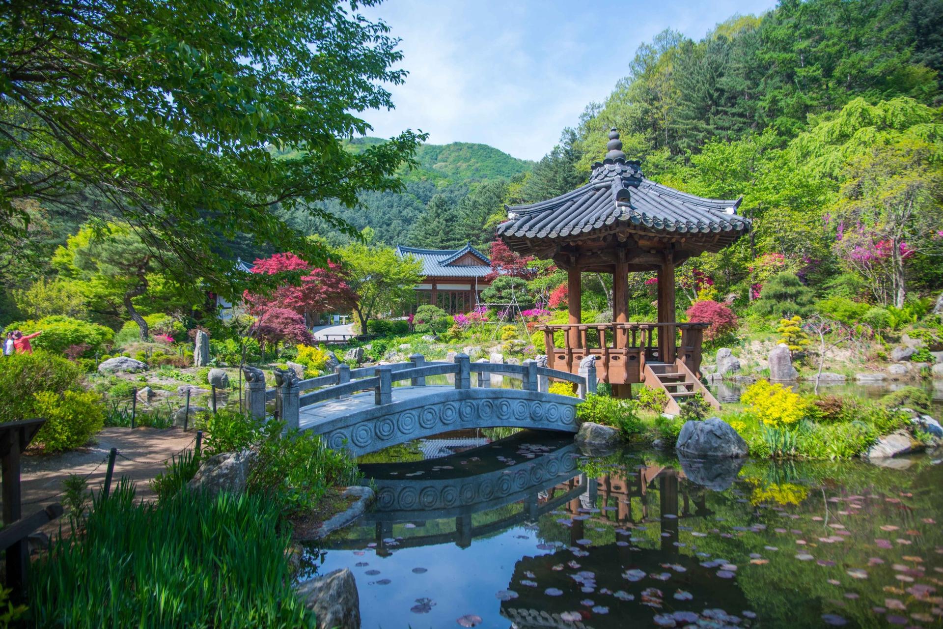 Lotte World + Gyeonggi-do Hot Places Day Tour - Thumbnail 11