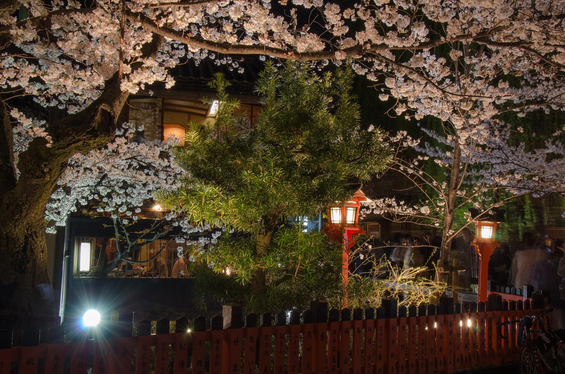 Kyoto Gion Night Guided Walking Tour (3 Hours) - Thumbnail 18