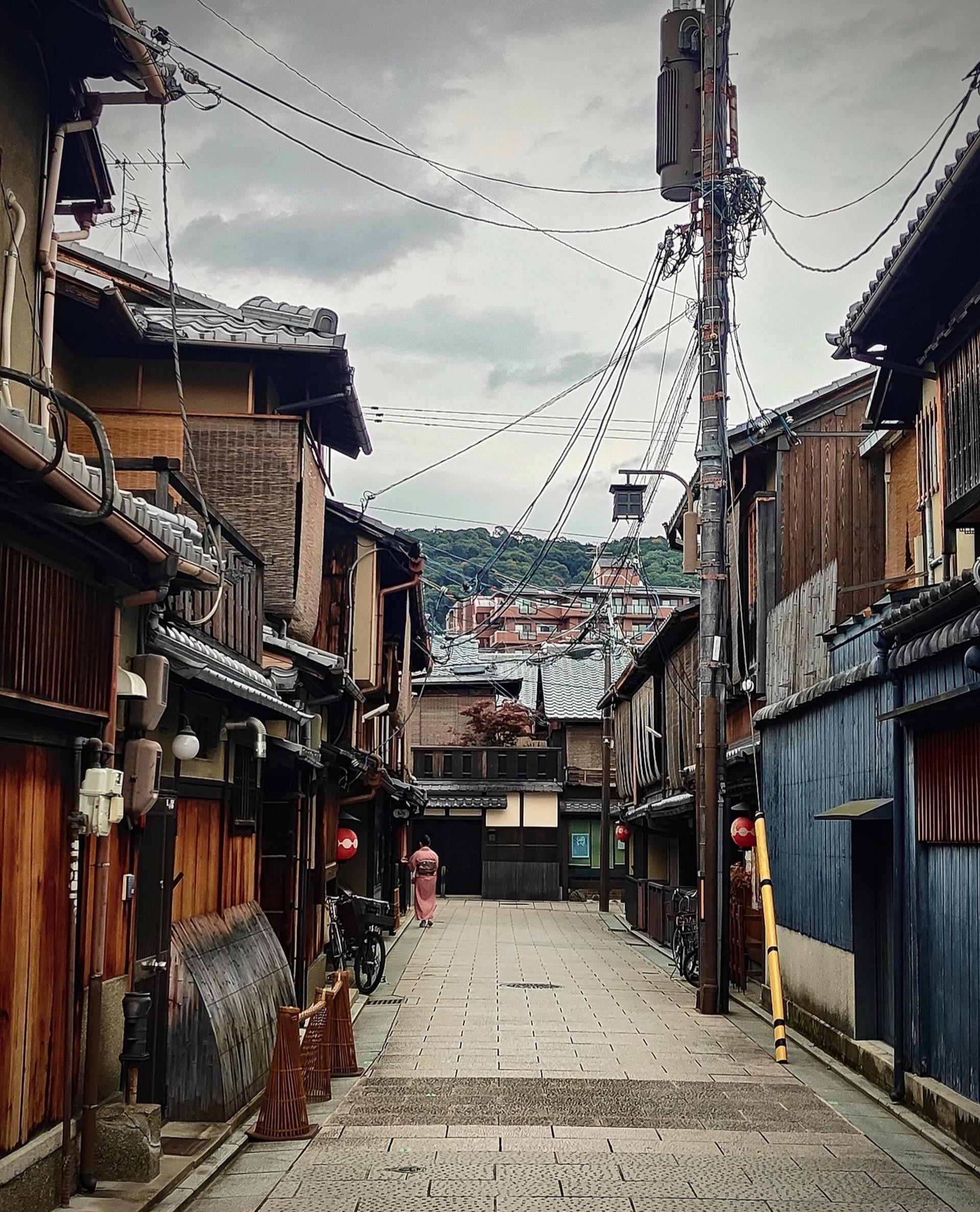 Kyoto one-day private tour (1~4 people) - Thumbnail 34
