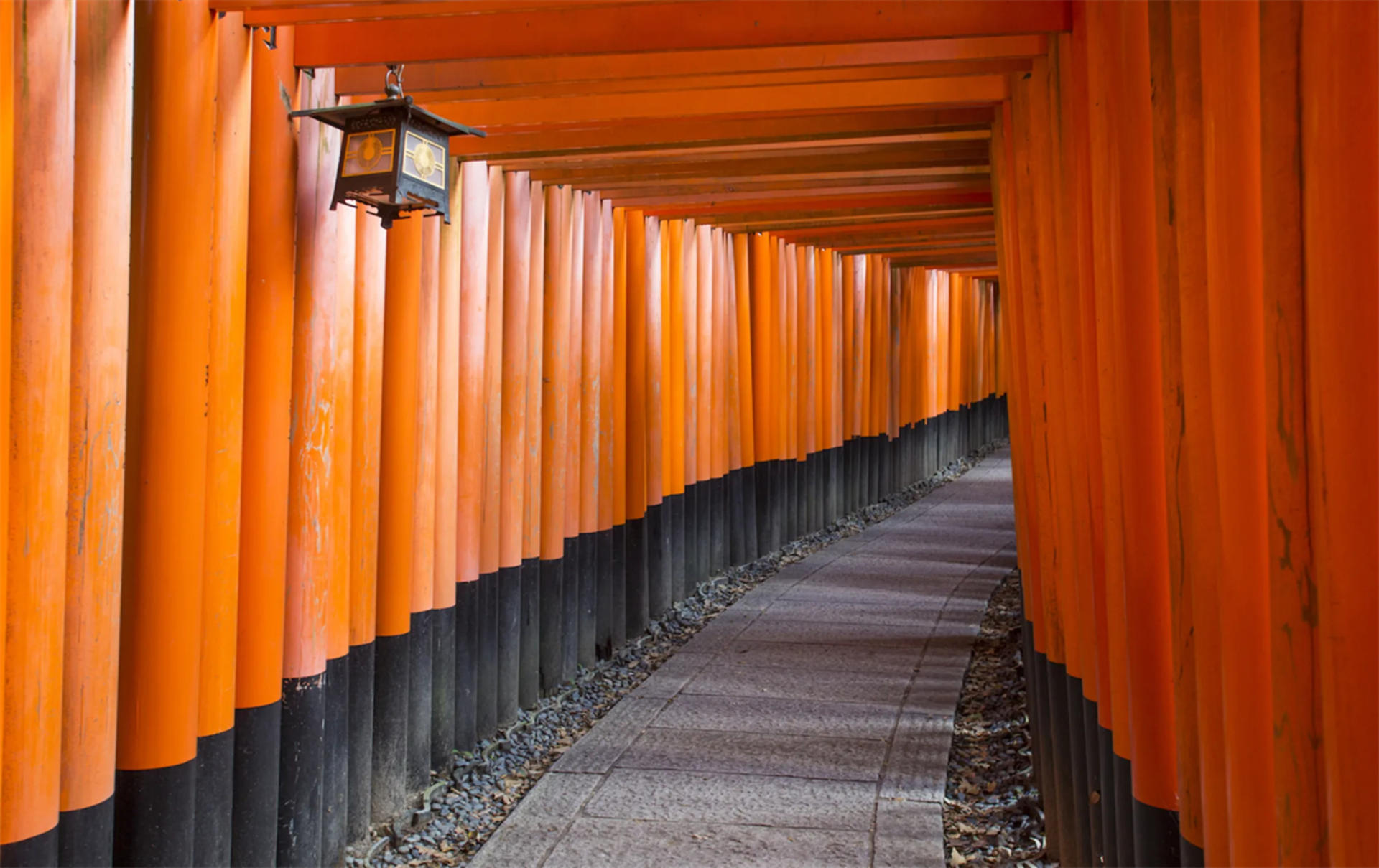 Kyoto & Nara & Amanohashidate 2-Day Tour - Free Shrimp Sticks for Feeding Seagulls (Accommodation Not Included) - Thumbnail 5