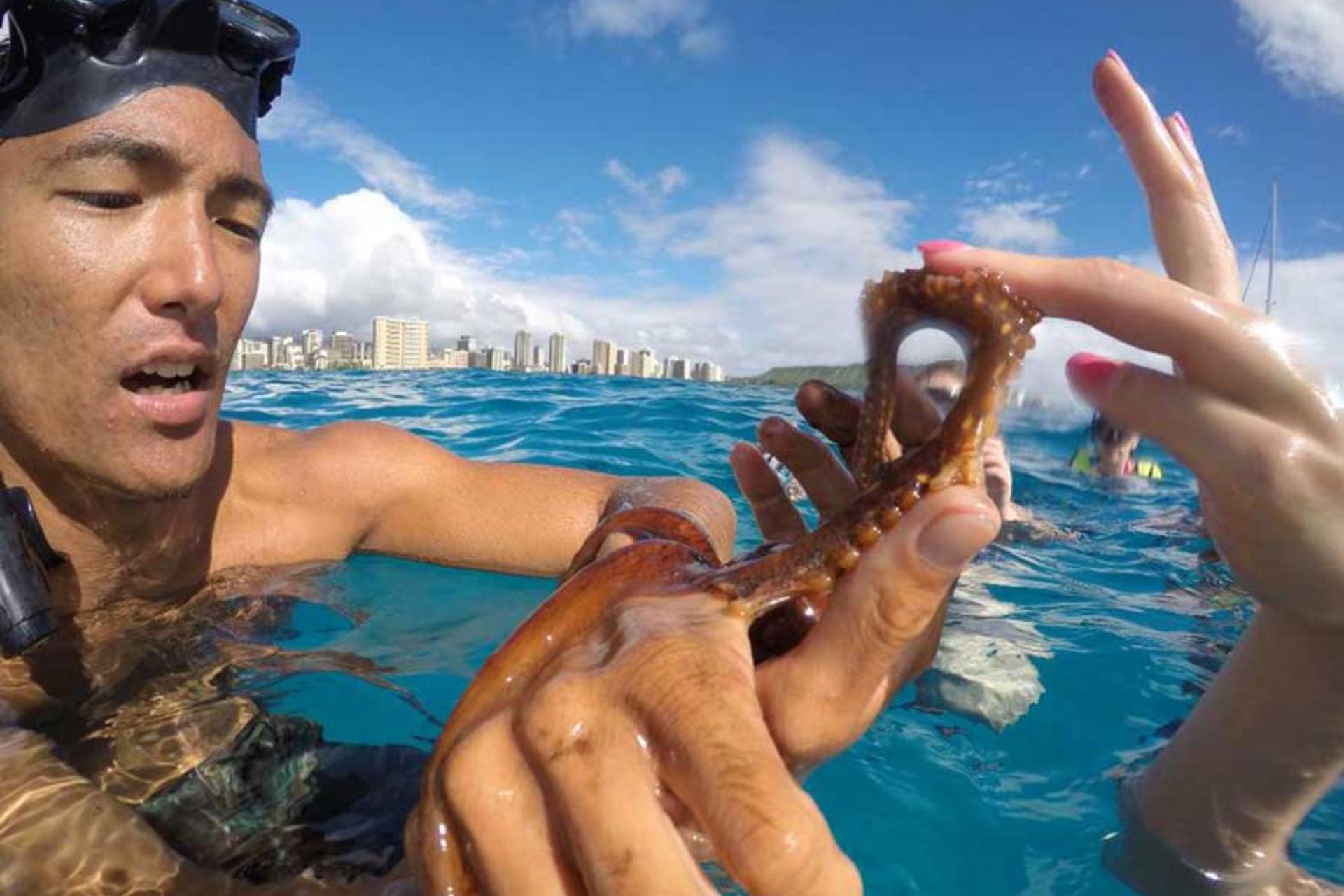 Waikiki Turtle Snorkel and Sail Experience with Lunch - Thumbnail 5