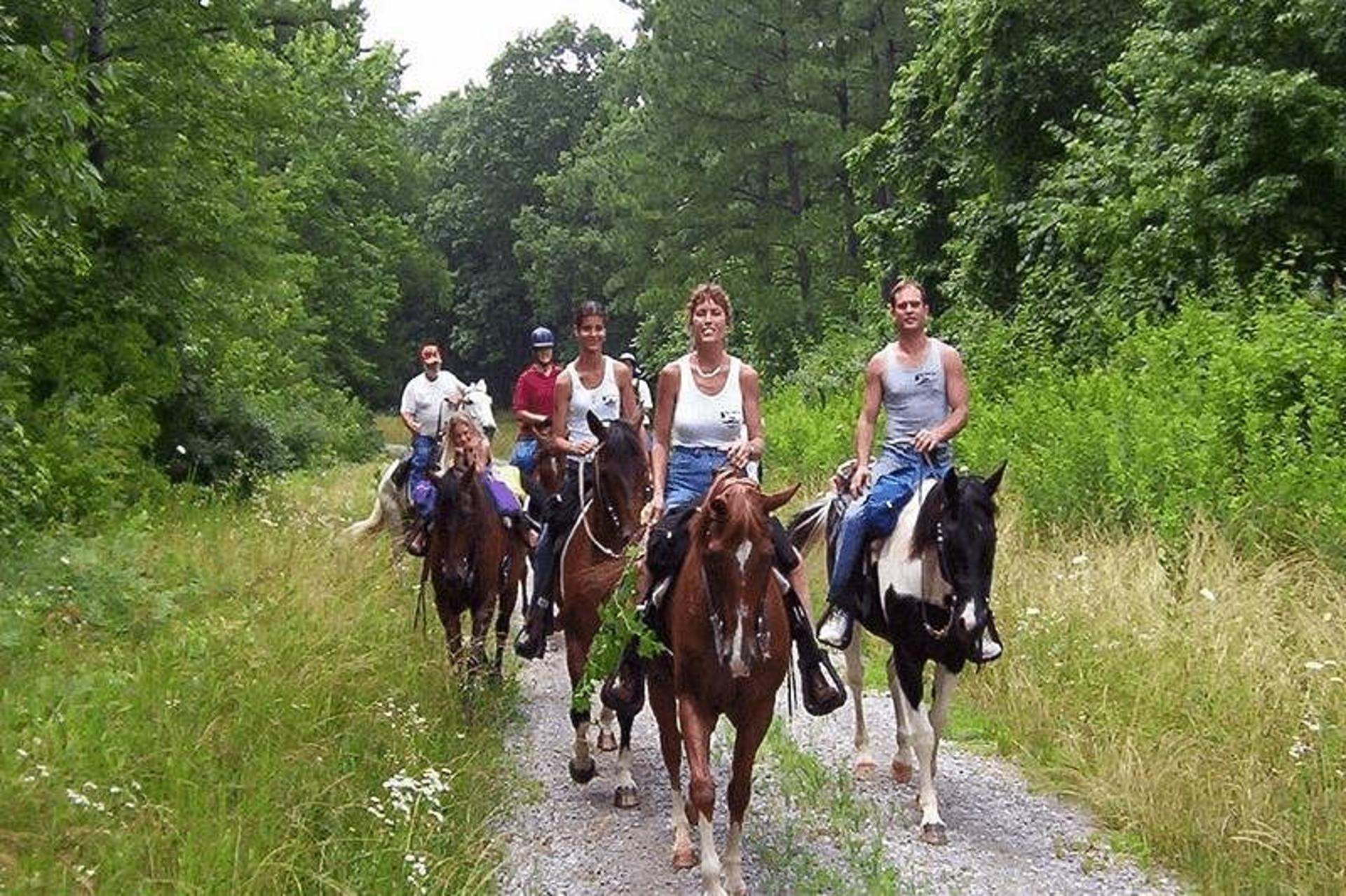 Kusadasi Horse Riding Experience with Transfer - Thumbnail 6