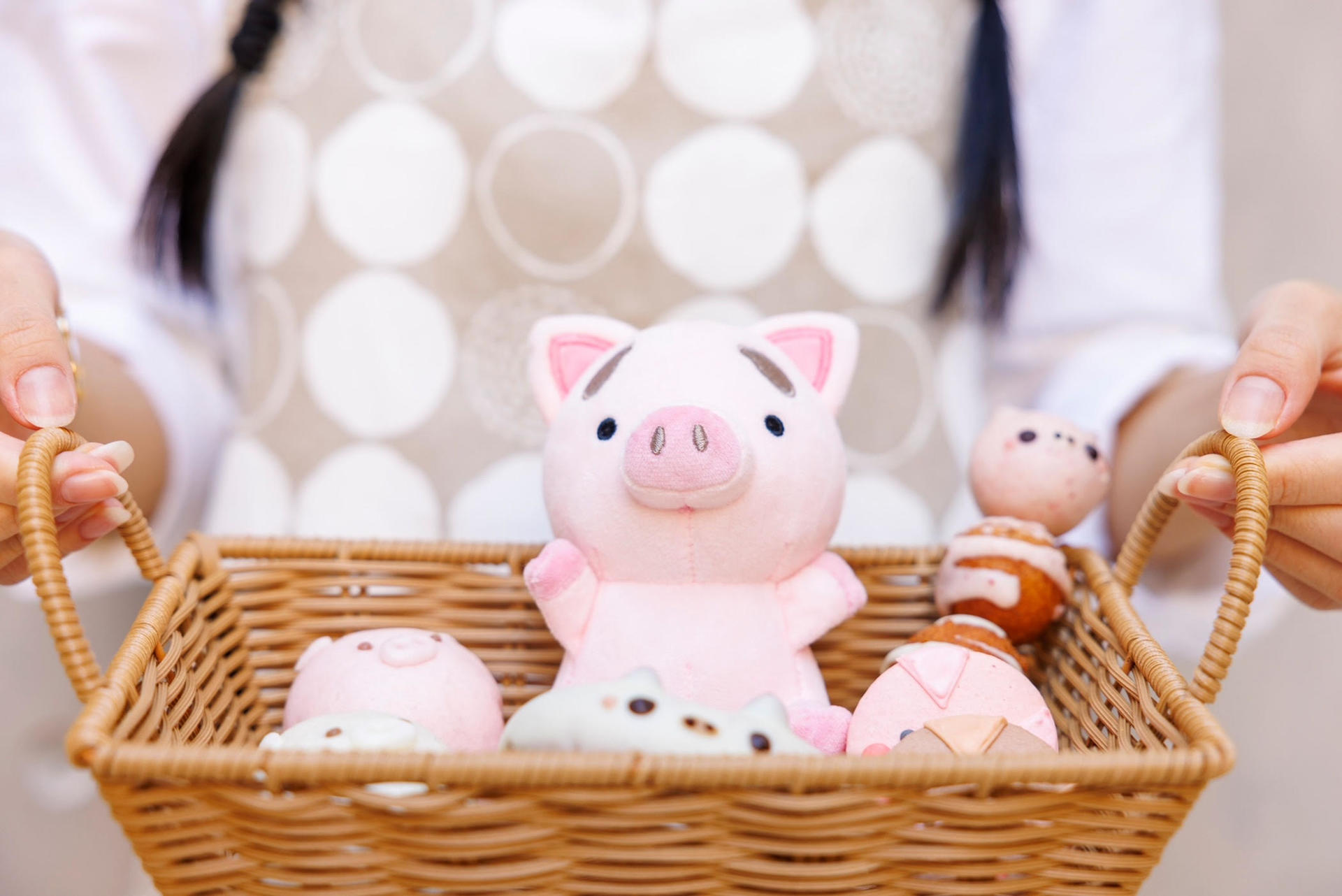 Private Room Micro Pig Cafe with Piglet Interaction and Snack Feeding Experience (Tokyo, Kichijoji) - Thumbnail 7