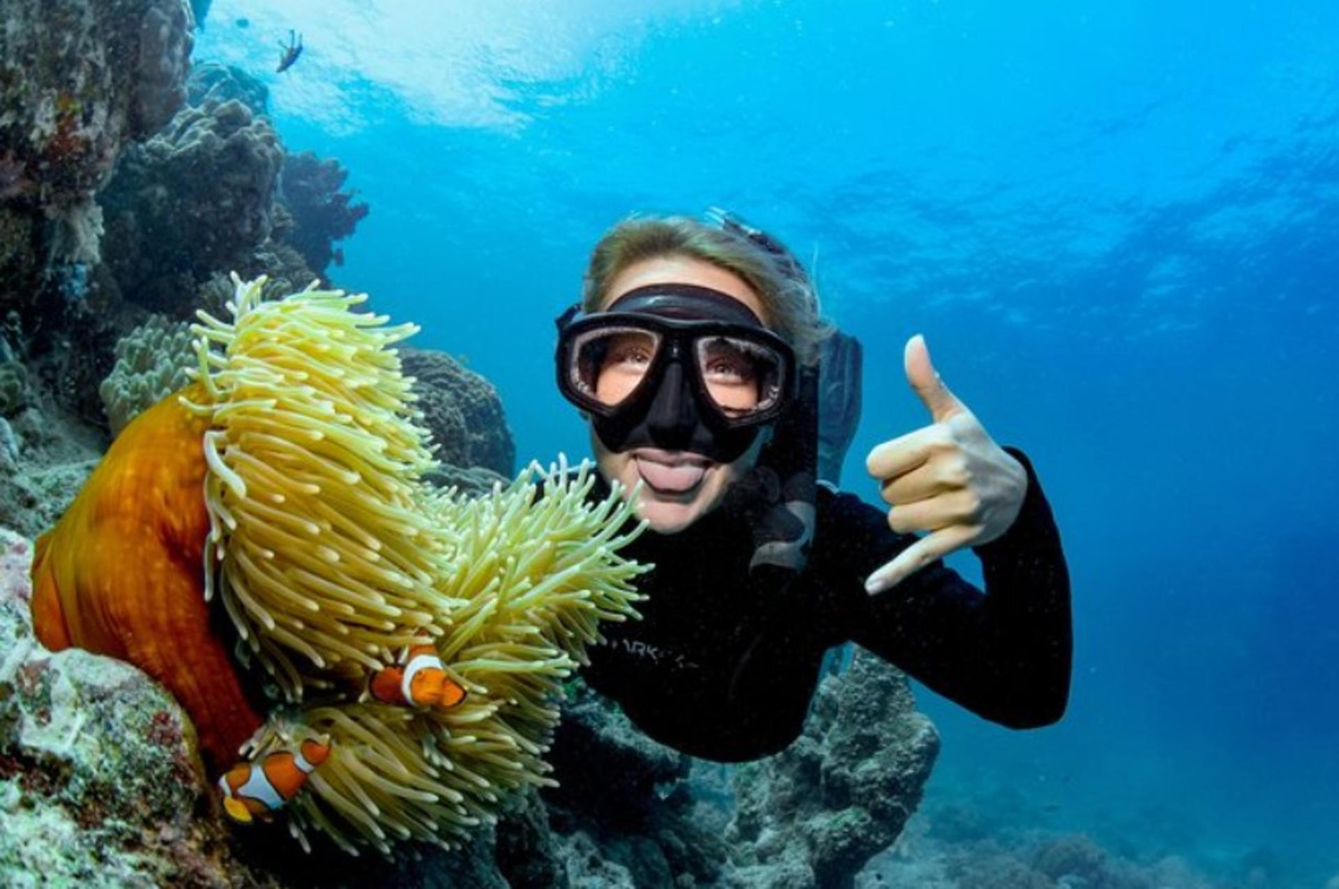 AquaQuest Day Trip to the Outer Reef - Thumbnail 4