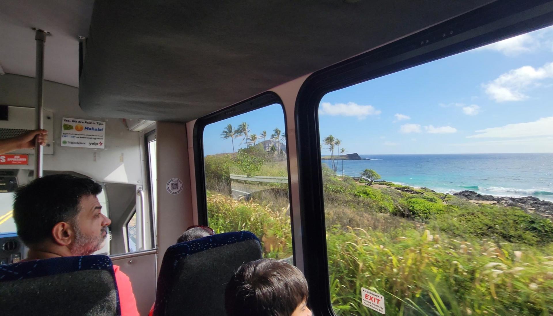 Oahu North Shore Circle Island Adventure + Swimming with Turtles - Thumbnail 8