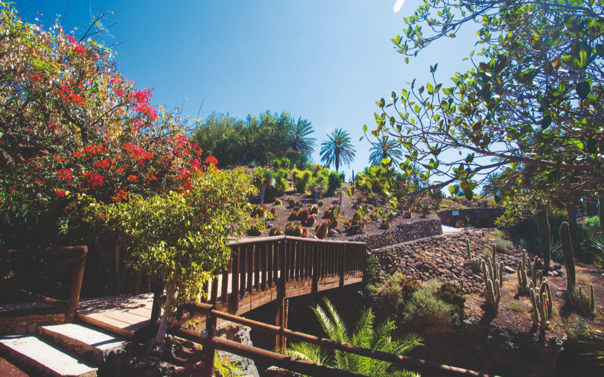 Oasis Wildlife Fuerteventura ticket - Thumbnail 2