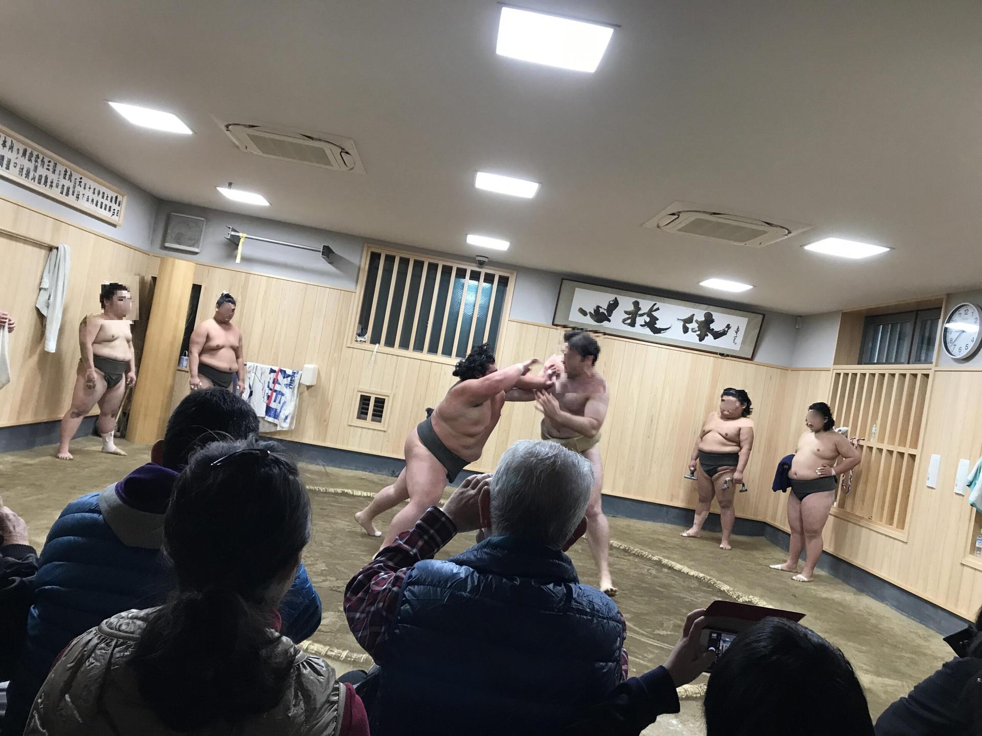 Find Your Favorite Wrestler at Morning Sumo Practice - Thumbnail 3