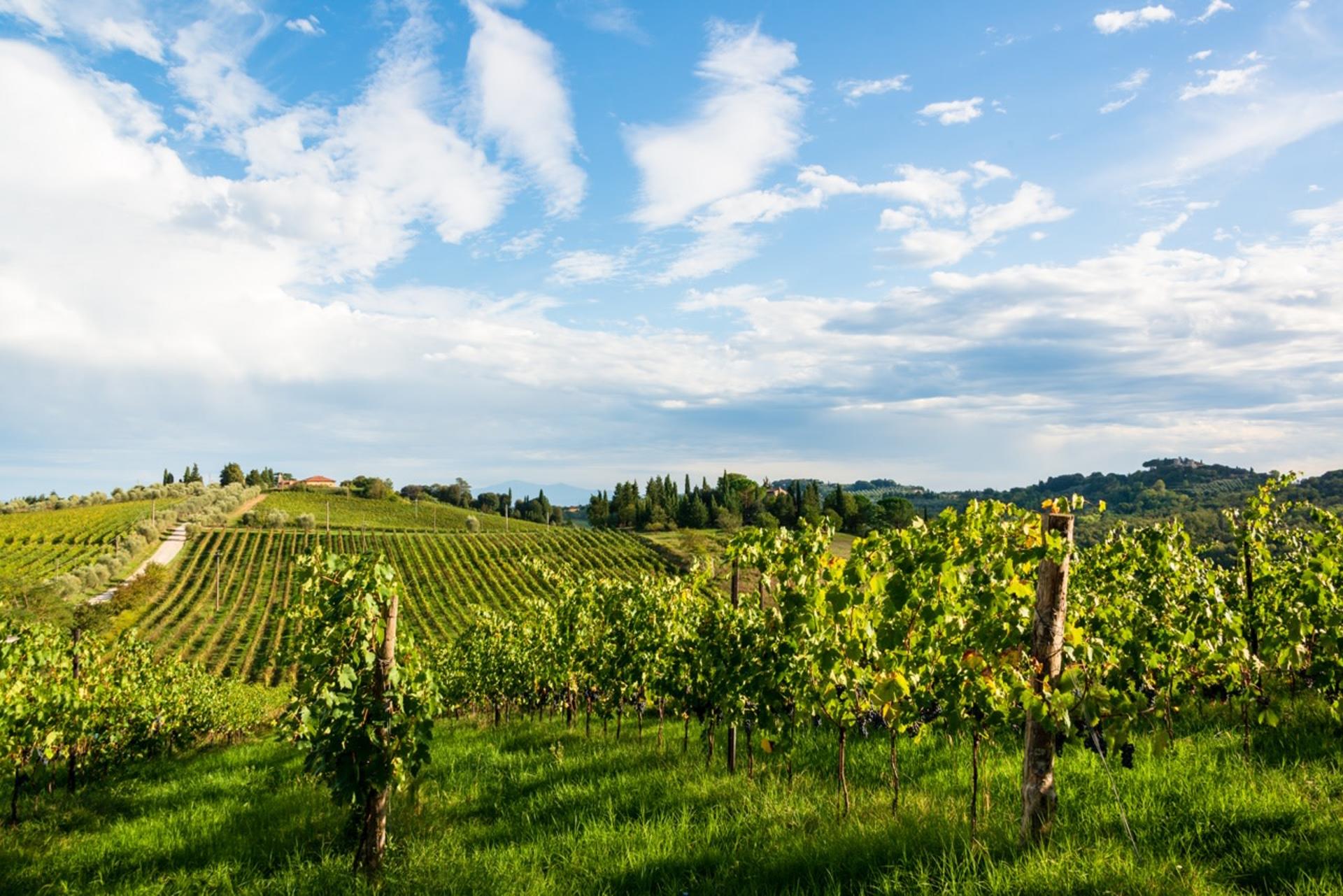 Chianti Delights: Tuscany Wine Private Tour from Florence - Image 1