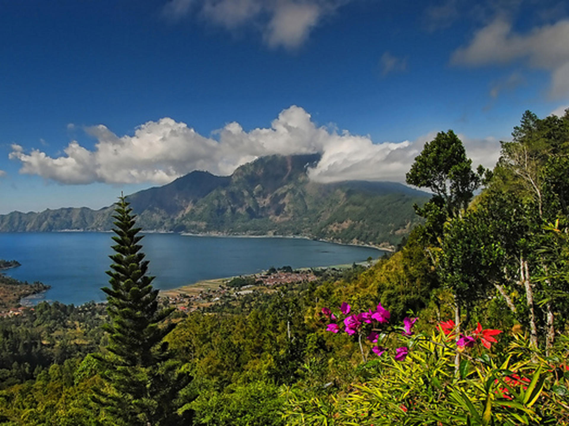 Melangit Rafting and Bali Famous Scenery Day Tour - Image 1