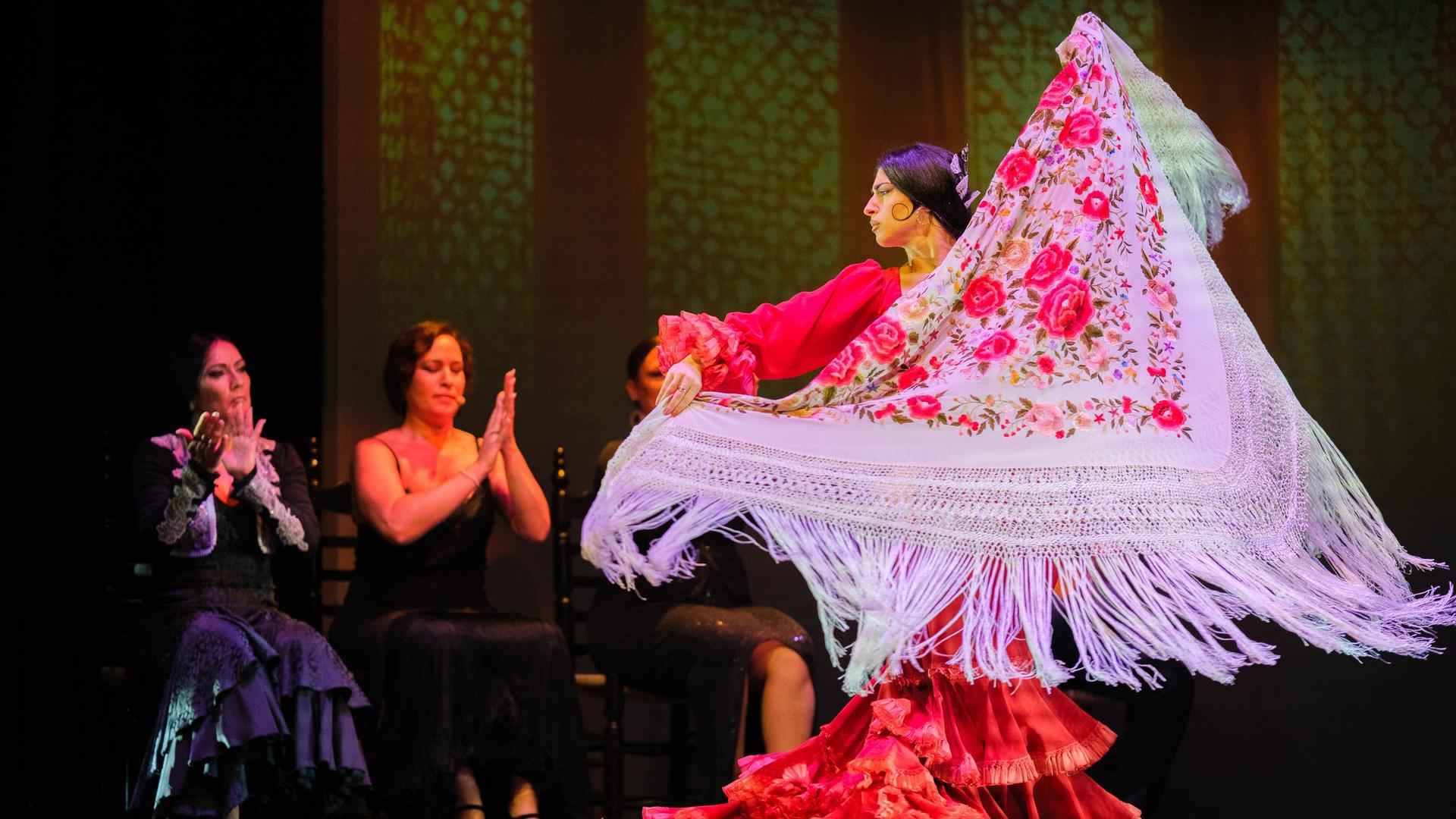Sensaciones flamenco show in Granada - Thumbnail 2