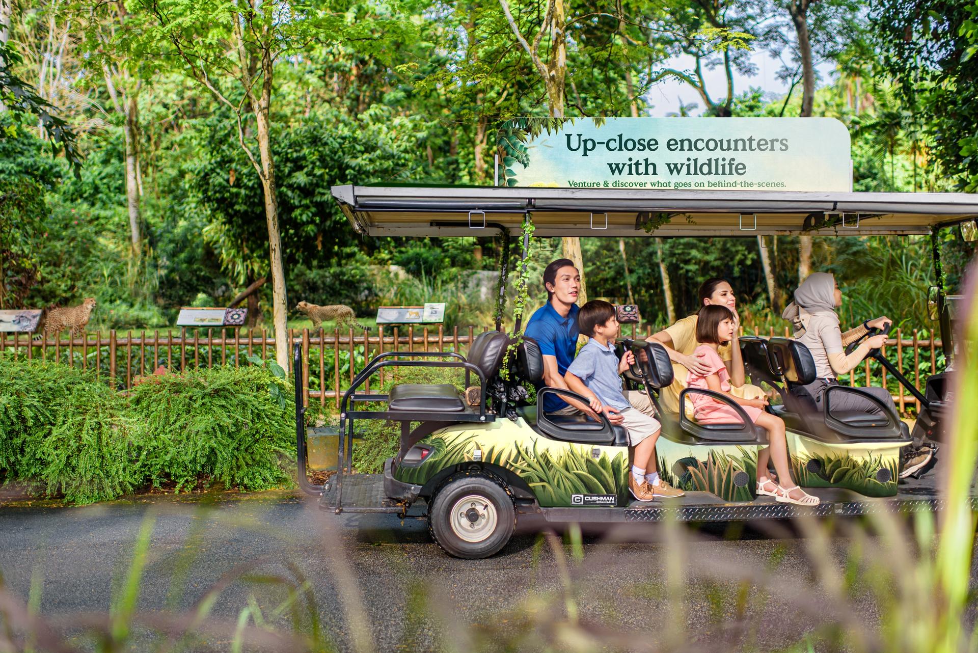 Singapore Zoo Ticket | Mandai Wildlife Reserve, Singapore - Thumbnail 7