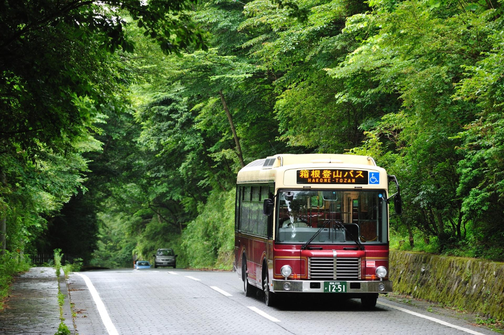 Hakone Freepass - Thumbnail 3