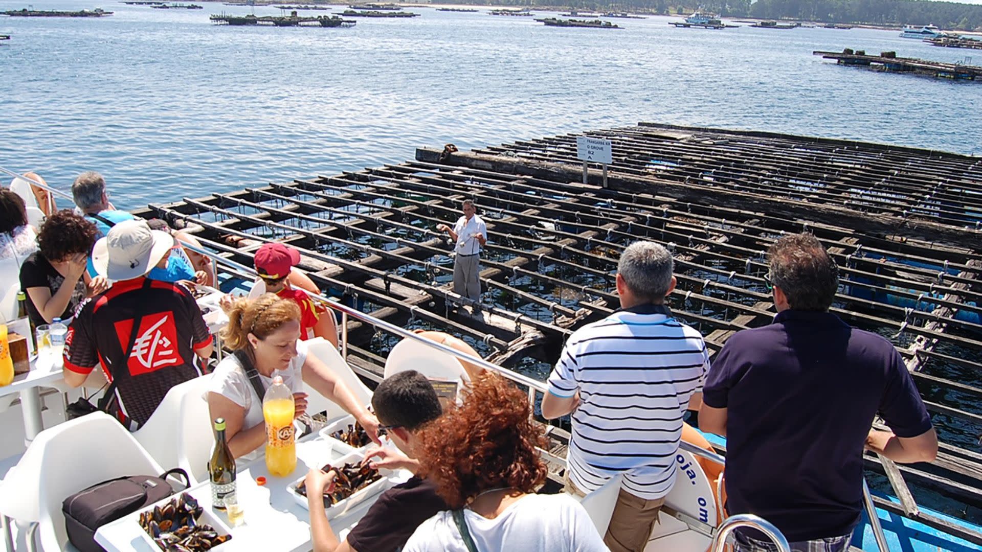 Rias Baixas winery tour with optional boat trip from Santiago - Thumbnail 4