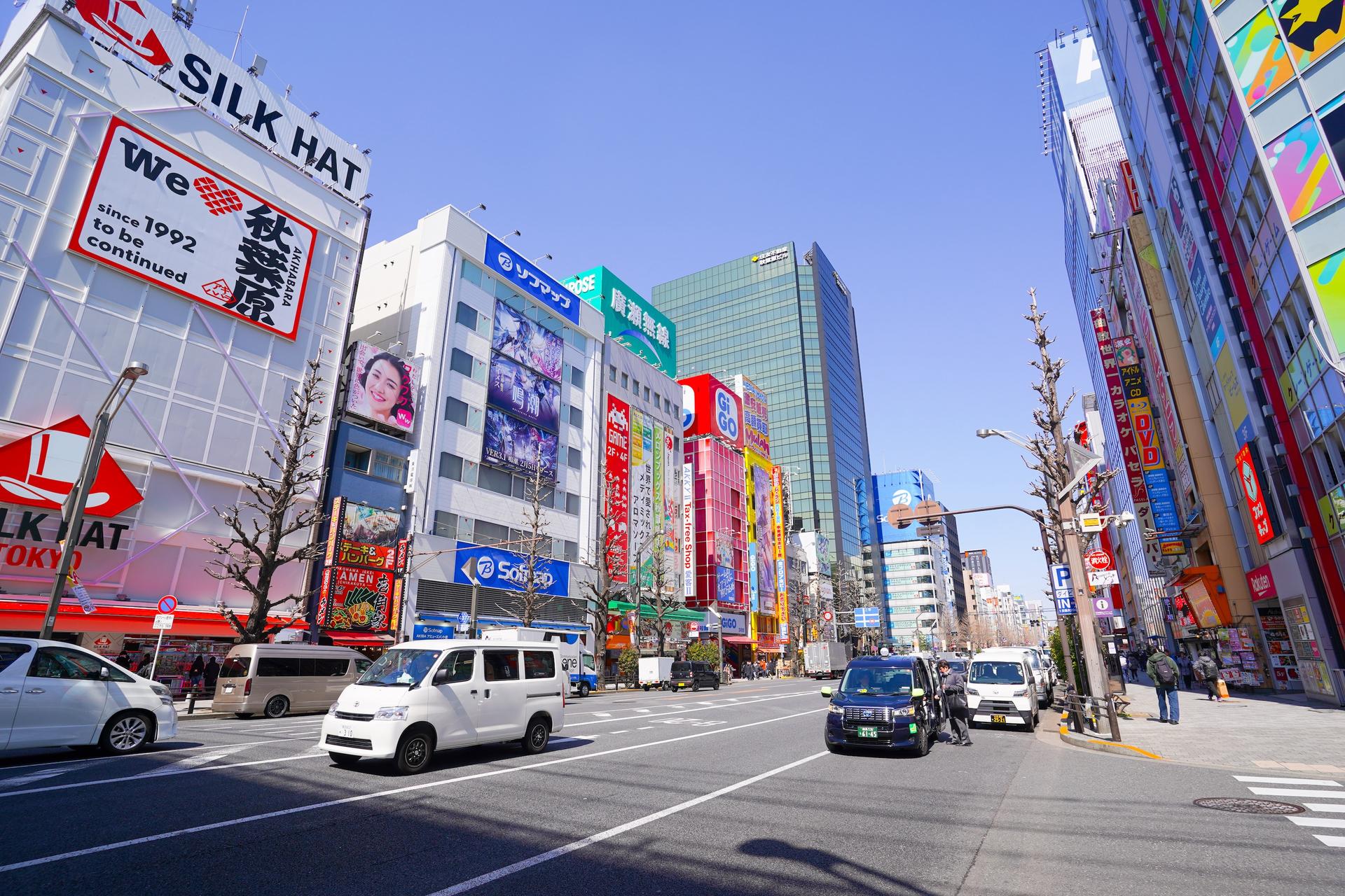 Akihabara Electric & Anime Town Walk : Dive into The Holy Land of Ot - Thumbnail 24