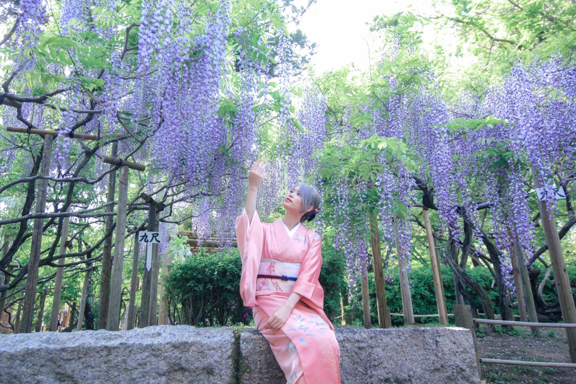 Kyoto Gion | Kimono Rental with Hair Set, Makeup & Photo Shot - Thumbnail 21
