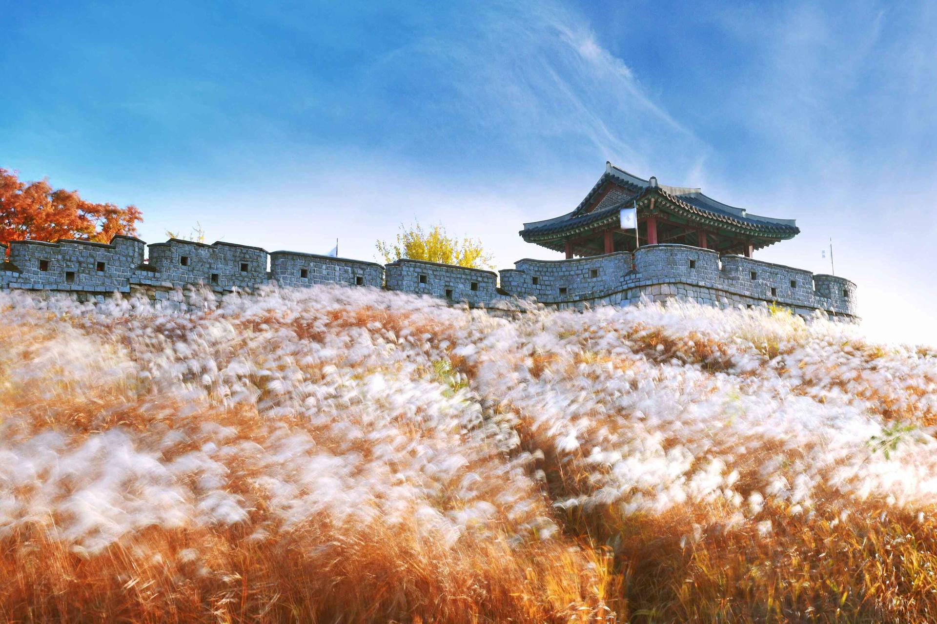 Seoul City Highlights Private Tour with Pickup and Drop-off - Thumbnail 6