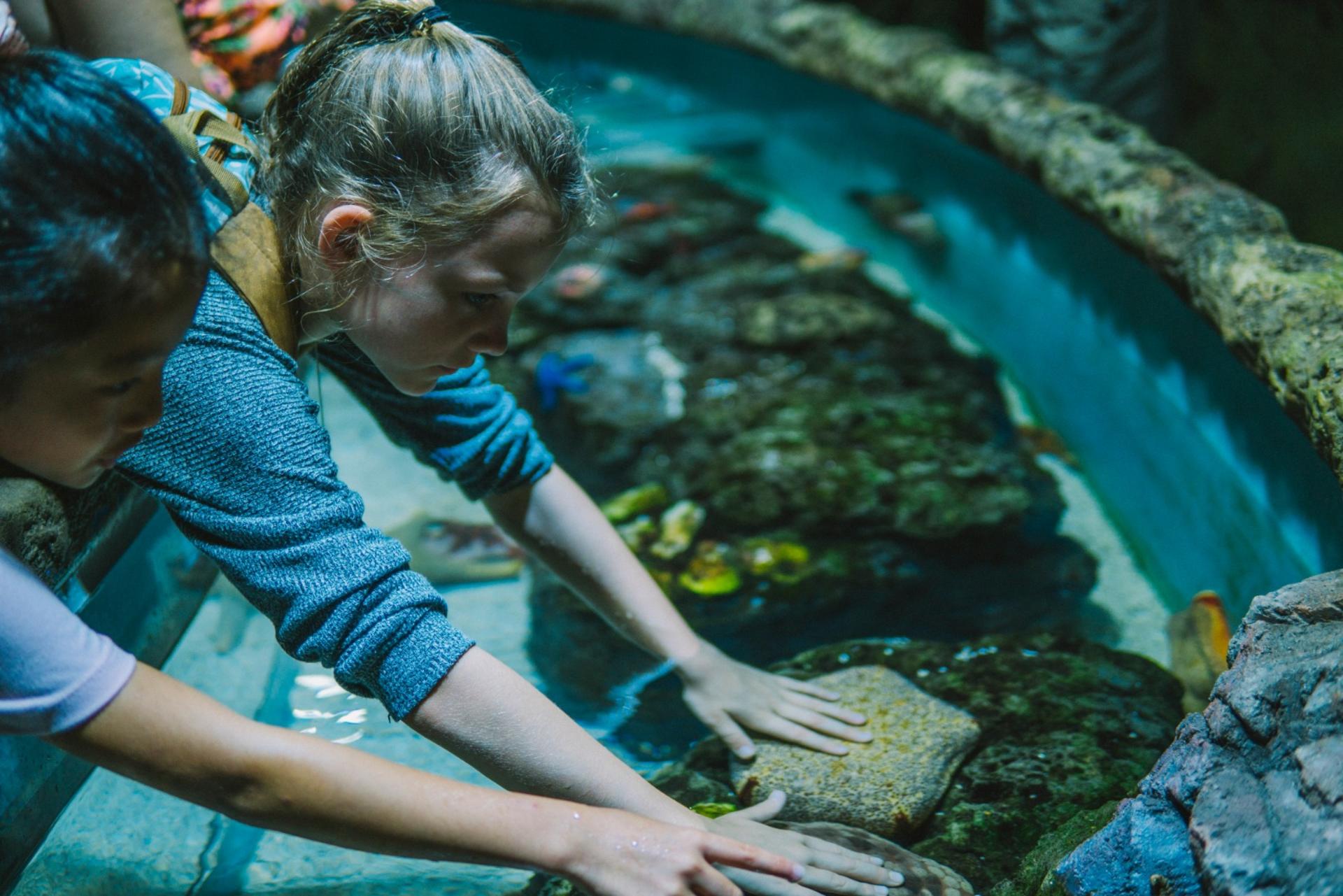Cairns Aquarium Ticket - Thumbnail 7
