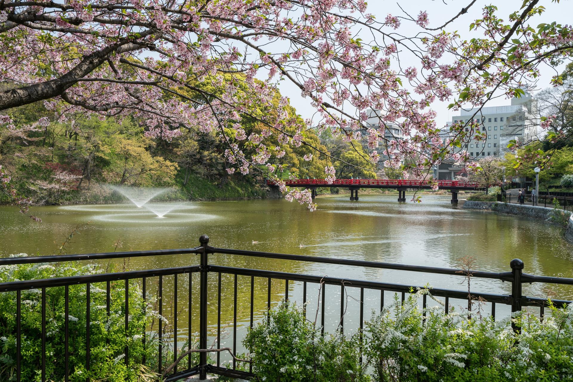Tennoji Ward, Shinsekai 3 hours Walking Tour - Image 1