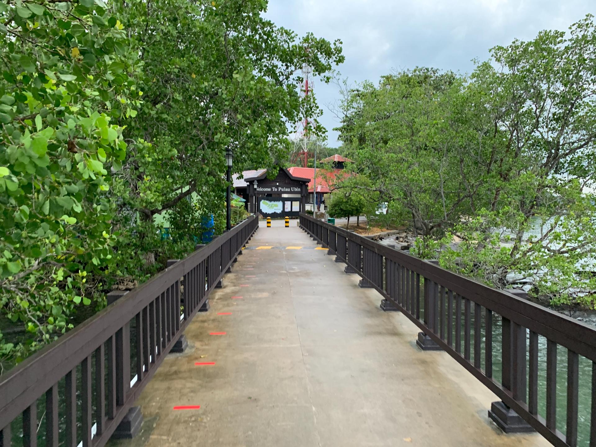 Bicycle Rental at Pulau Ubin - Thumbnail 2