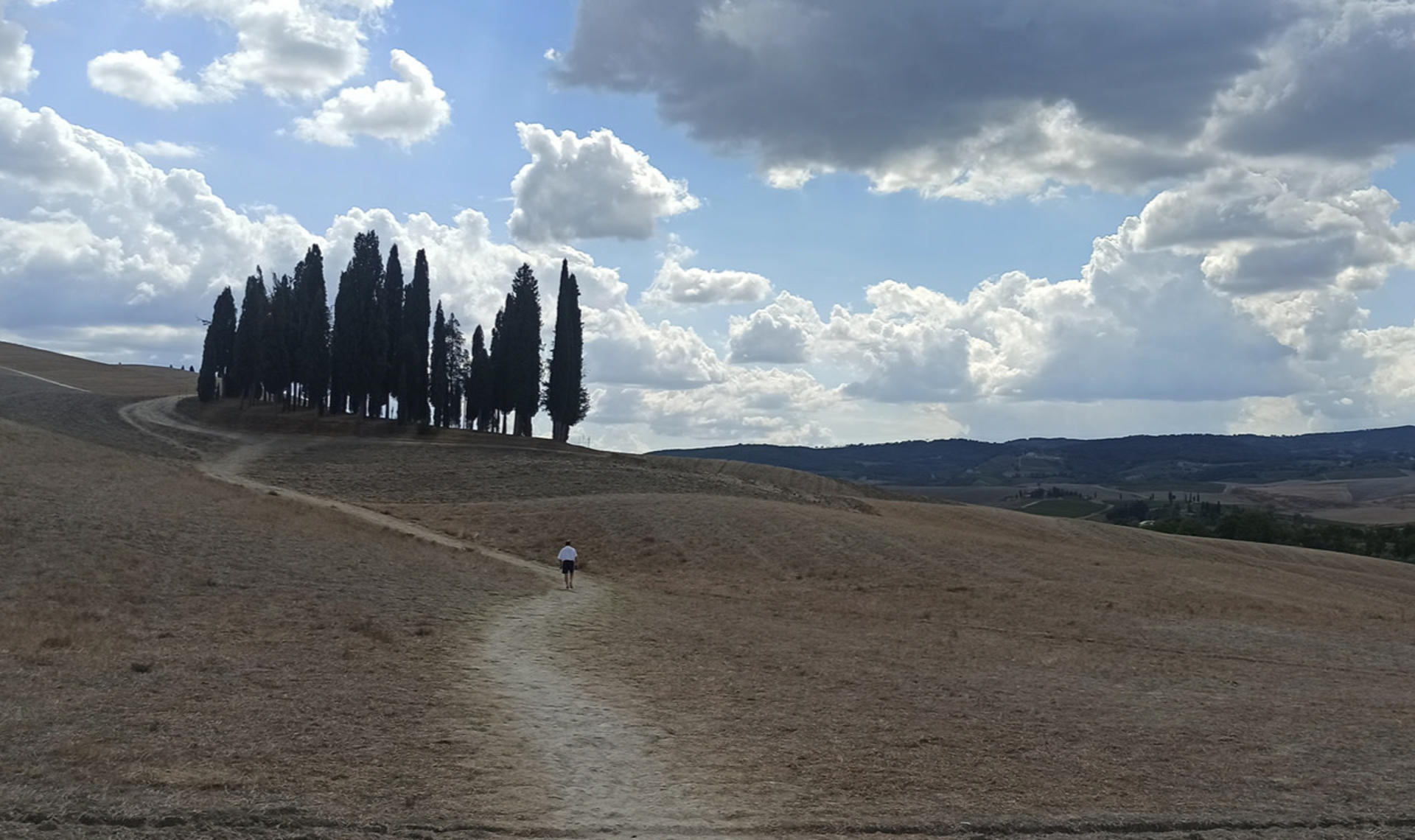 Val d'Orcia wine & cheese tasting experience from Florence - Image 1