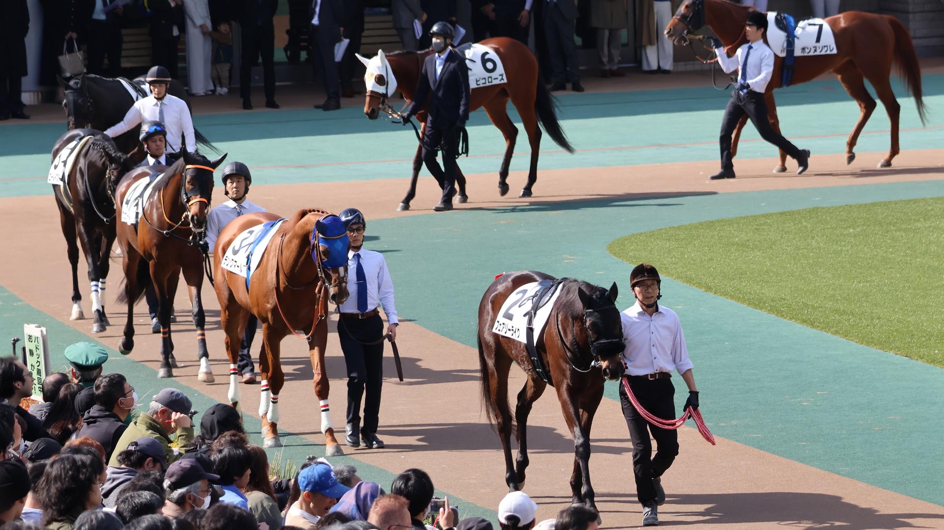 Tokyo Horse Racing Experience with Local Fan - Thumbnail 20
