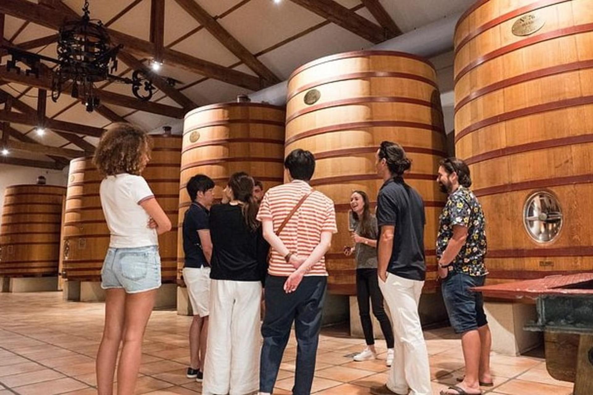 Chateauneuf-du-Pape Wine Tour from Avignon - Thumbnail 5