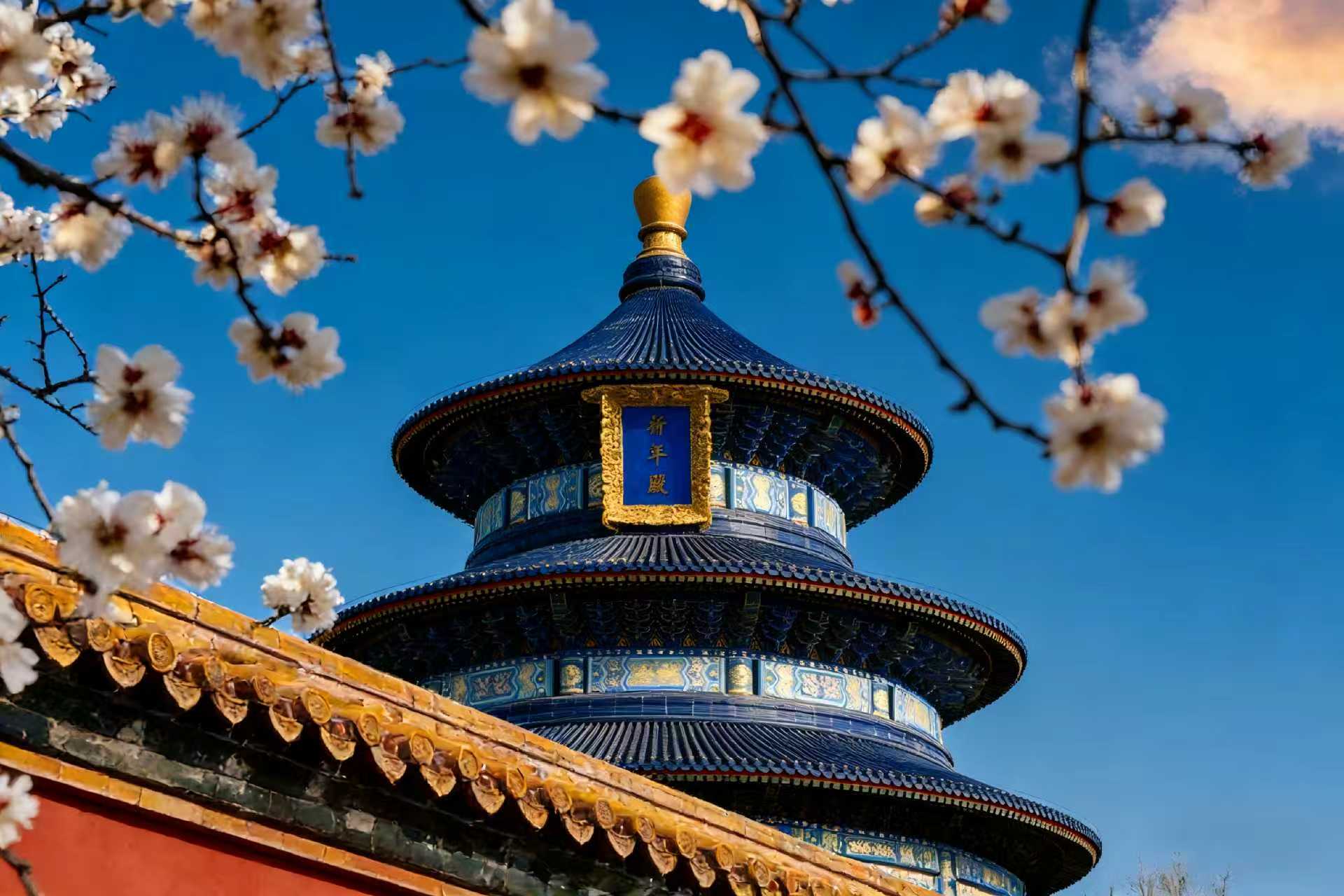 Beijing Private Layover Tours: Customizable for Your Schedule - Thumbnail 11