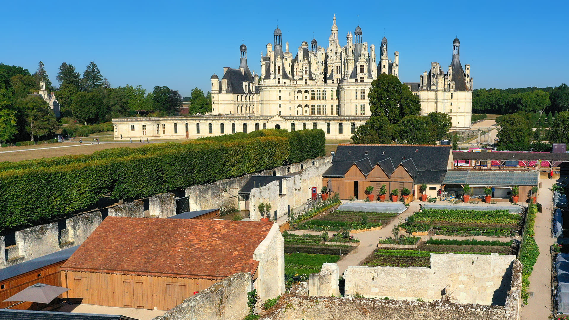 Chambord Castle Ticket in France - Thumbnail 2