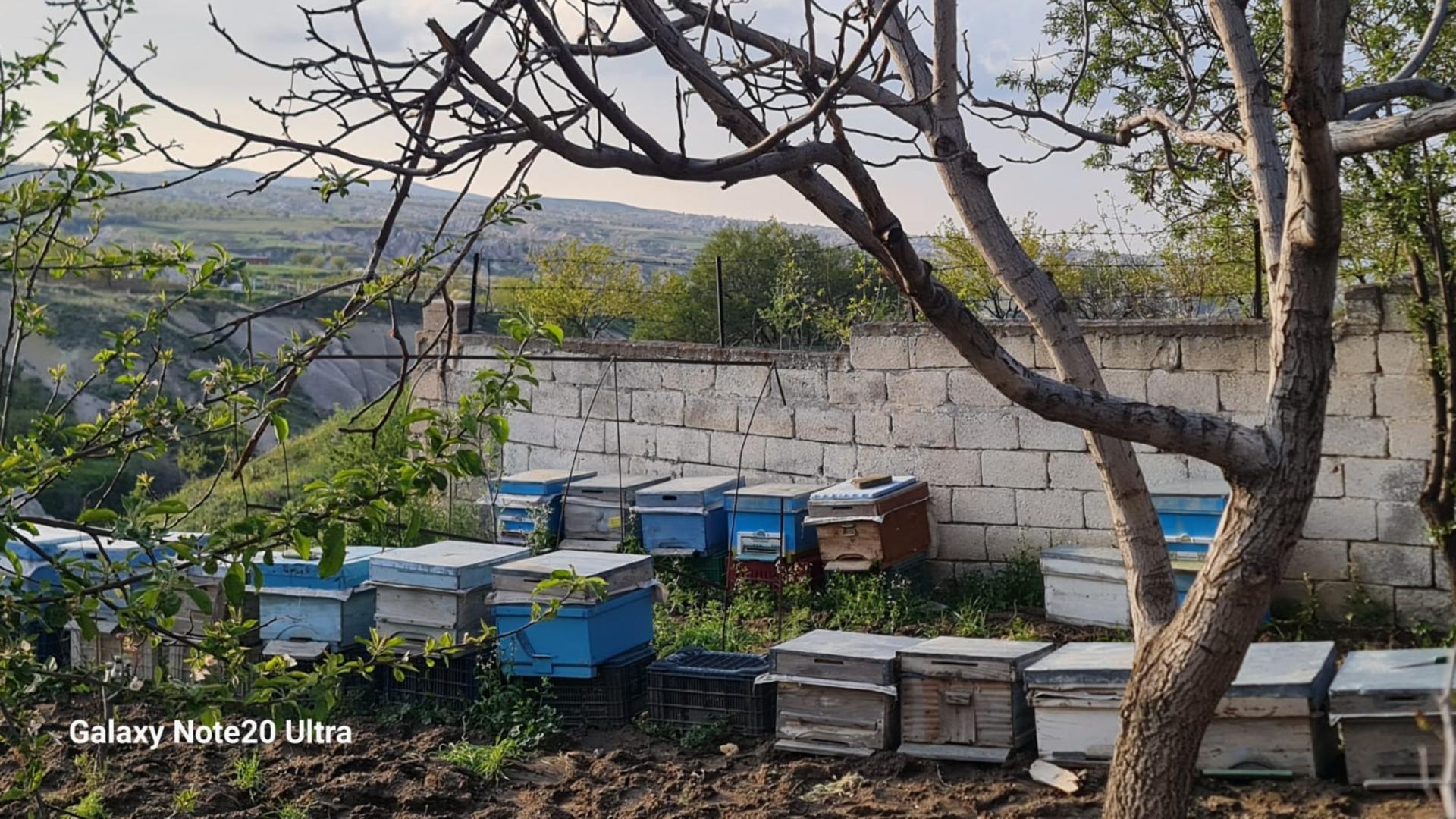 Beekeeping Experience with Honey Tasting in Cappadocia - Thumbnail 5