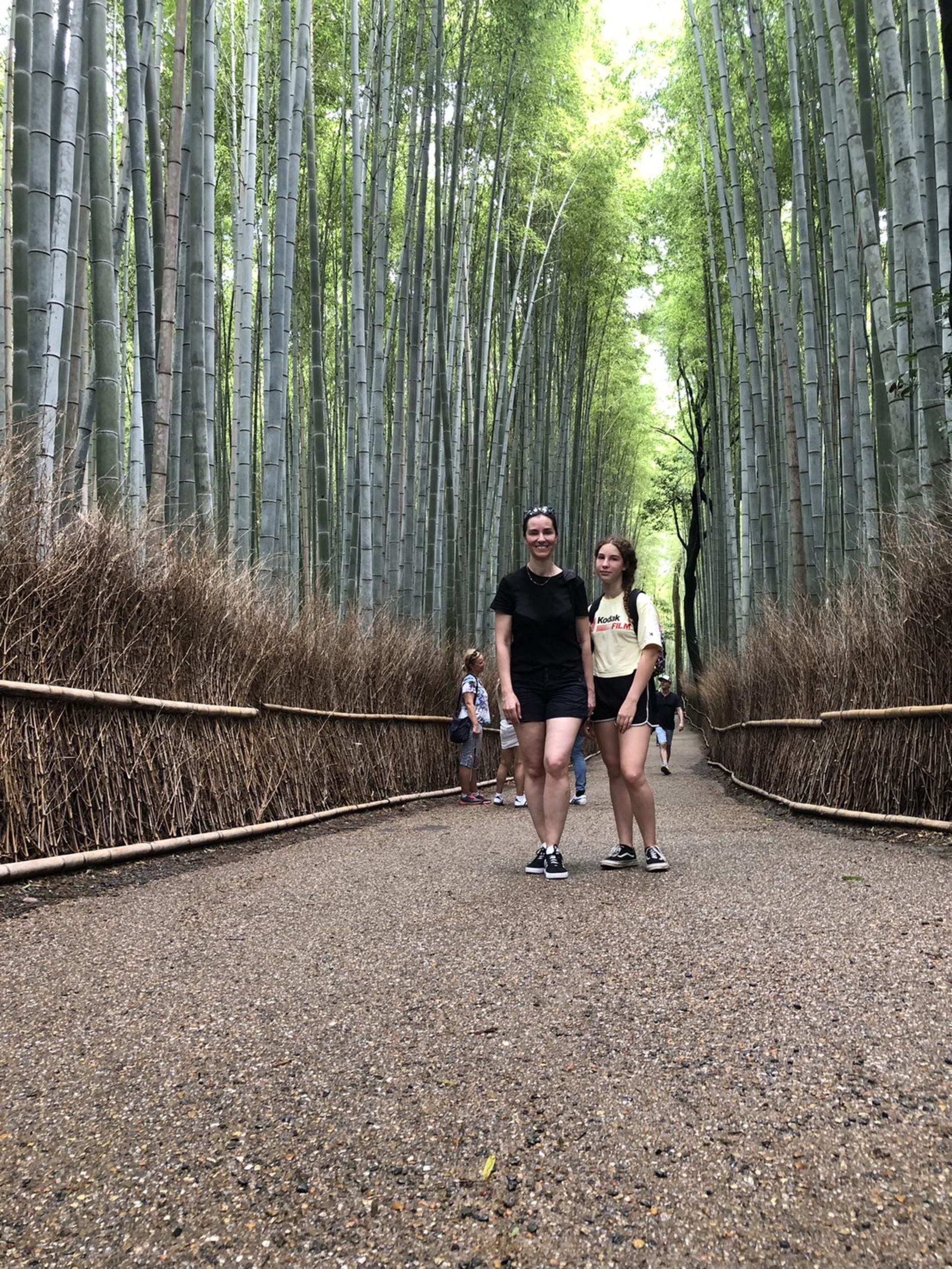 Kyoto Half-Day Electric Bike Tour with Guide - Thumbnail 6