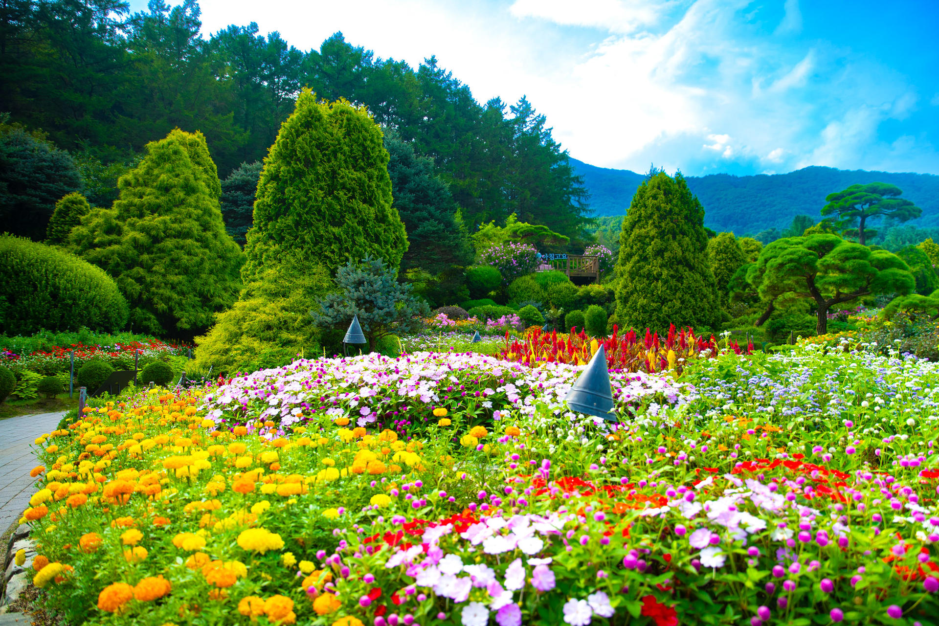 9-Hour Private Car Charter to Nami Island Suburb / Alpaca World from Seoul - Thumbnail 6
